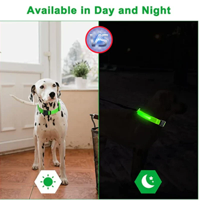 LED Pet Dog Collar for Night Safety | Bright USB Rechargeable - Image 6