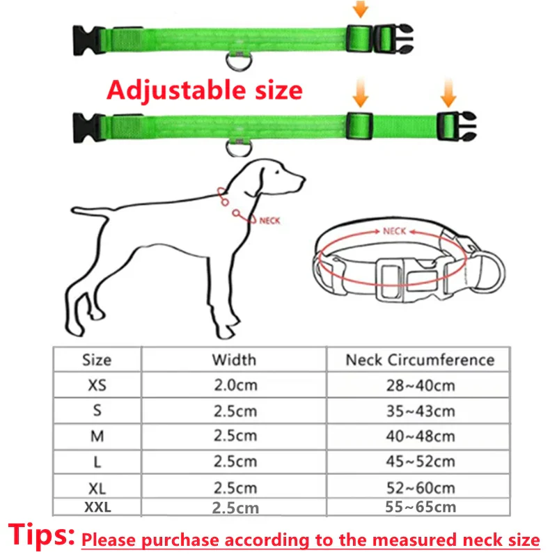 LED Pet Dog Collar for Night Safety | Bright USB Rechargeable - Image 7