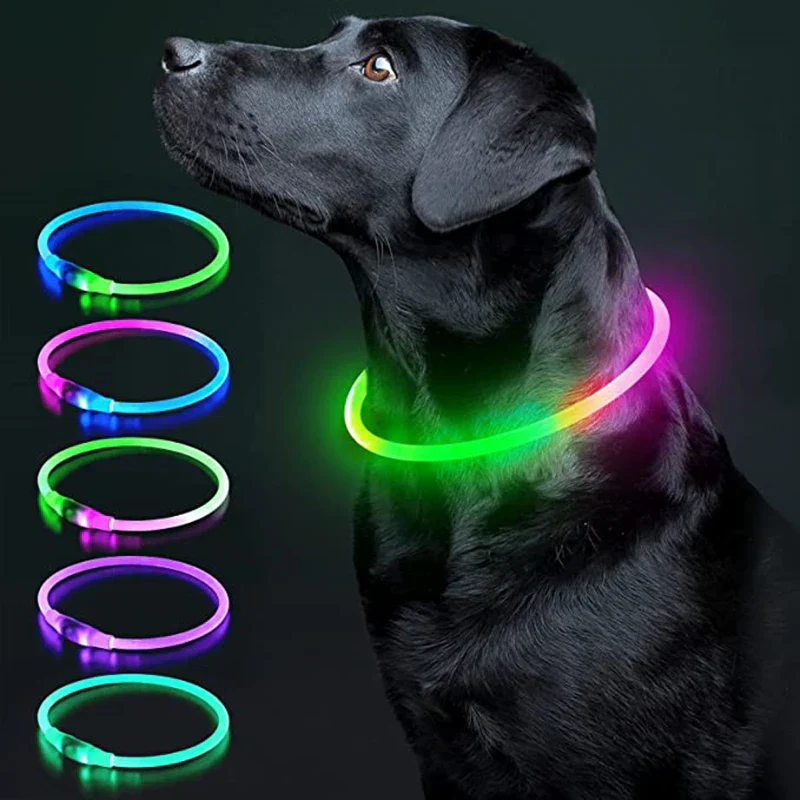 LED Pet Dog Collar for Night Safety | Bright USB Rechargeable - Image 9