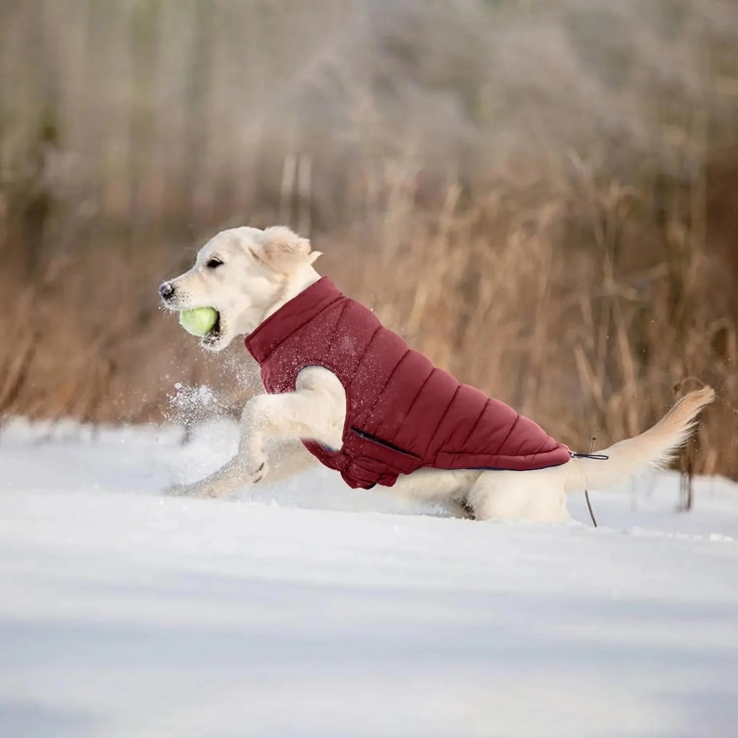 Lelepet Waterproof Reversible Dog Coat – Winter Puffer Vest, 2-in-1, XS-3X - Image 7