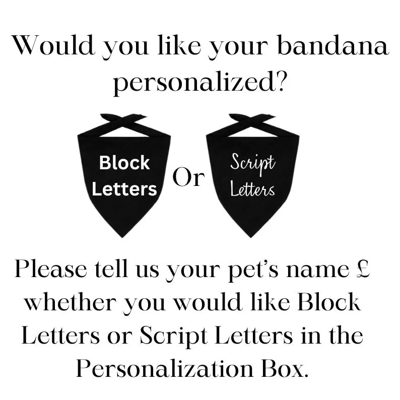 Lemon Dog Bandana - Image 7