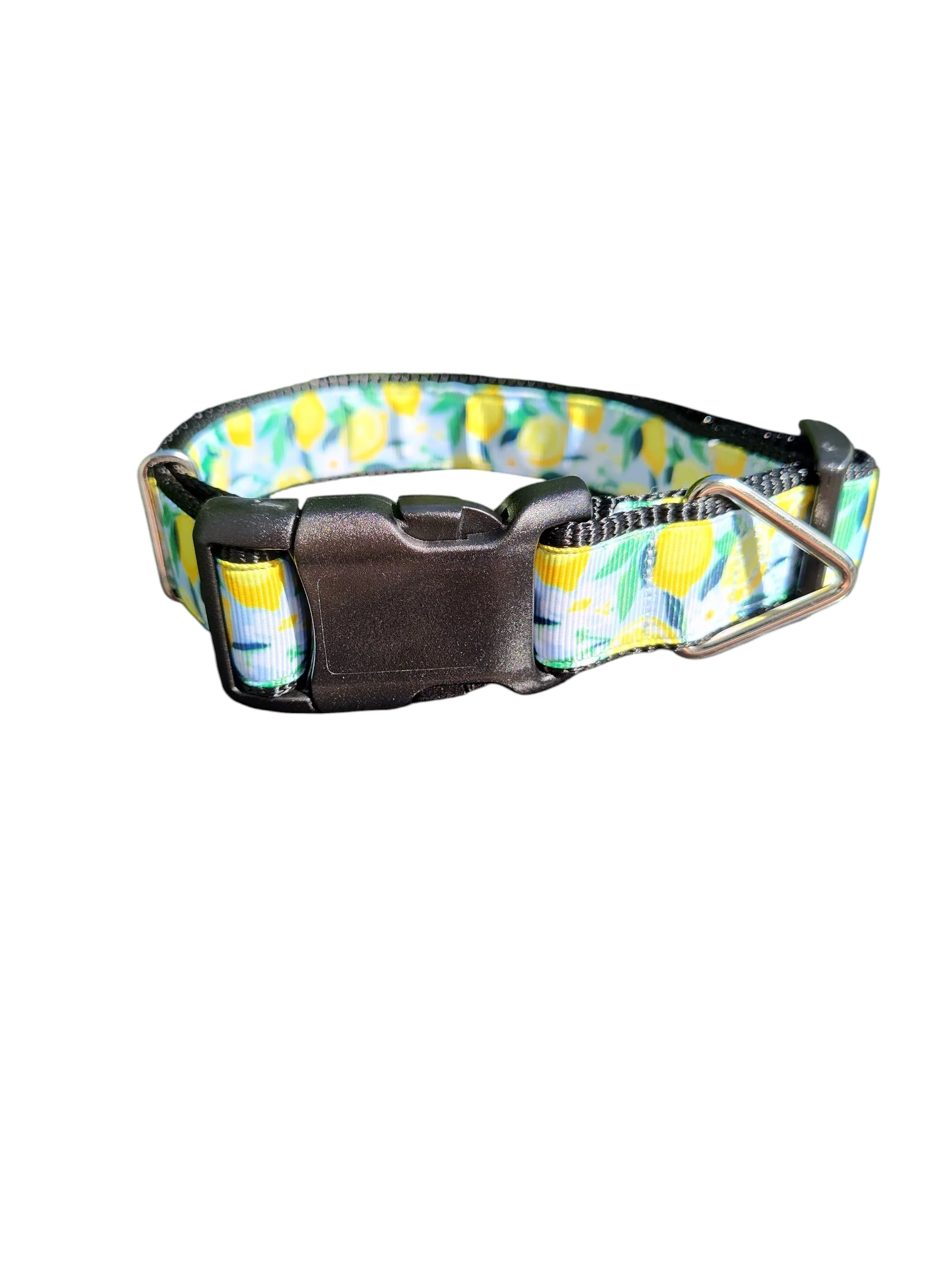 Lemon Flowers Nylon Dog Collar - Image 2