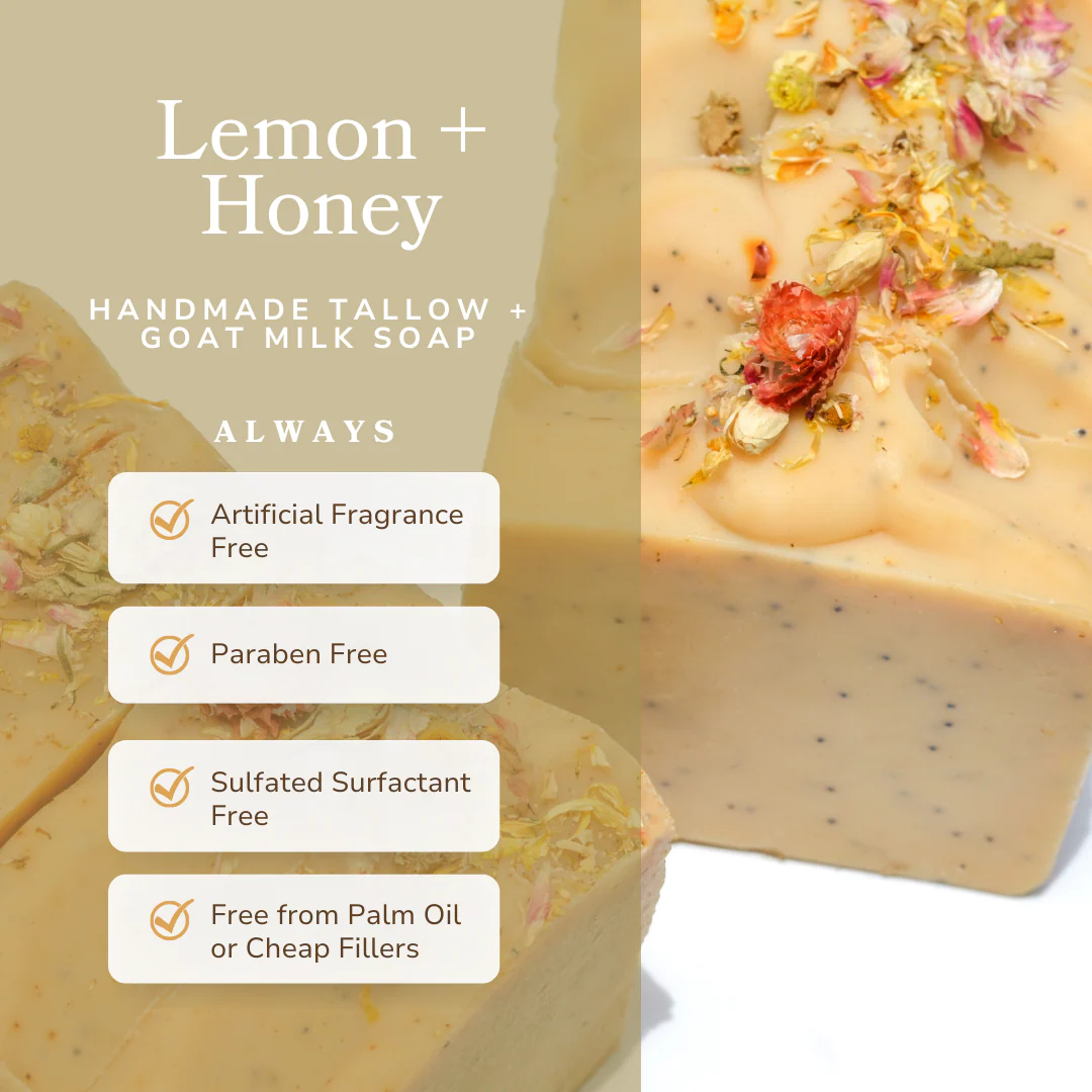 Lemon + Honey + Poppy Seed Handmade Tallow and Goat Milk Soap Bar - Image 3