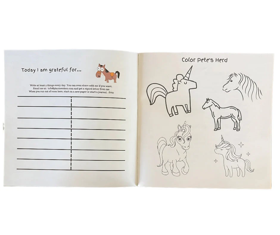 Lessons From Pete the Pony: Pete's Old Saddle - Image 3