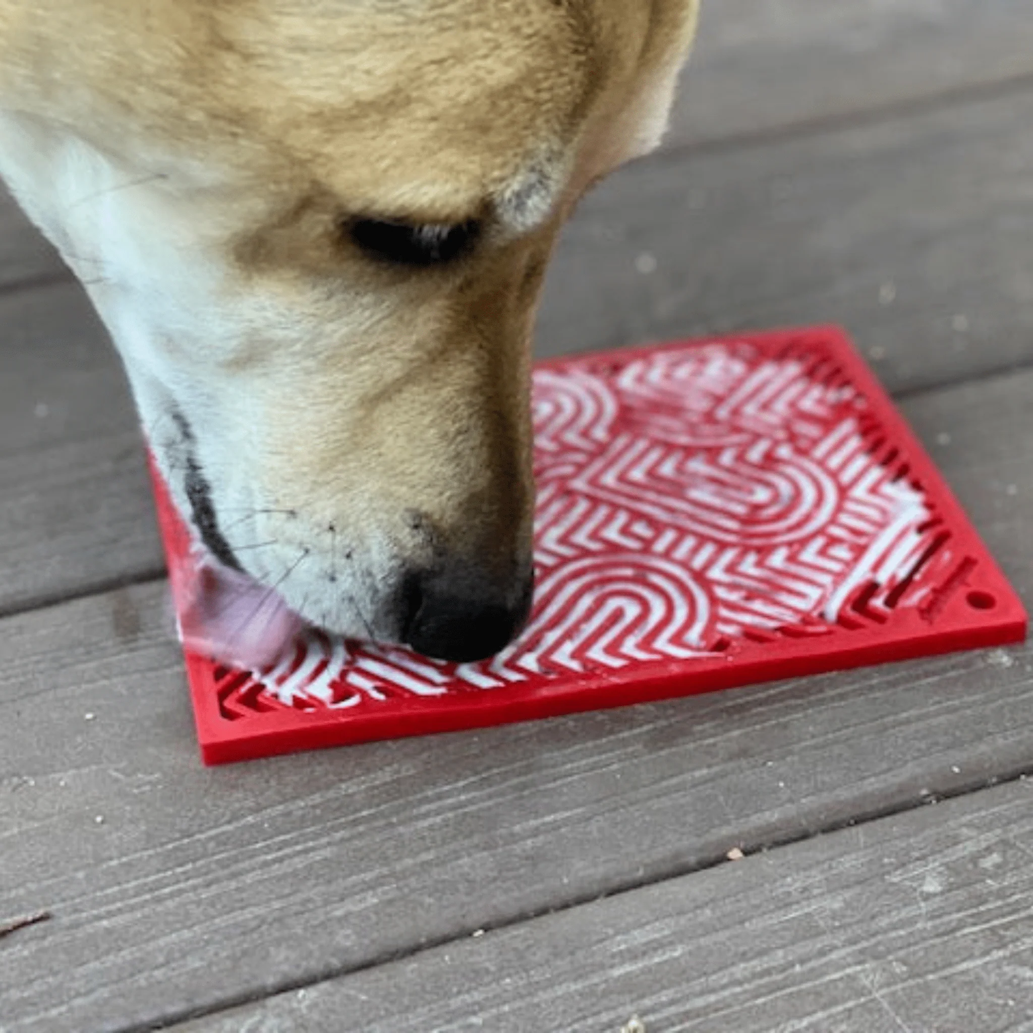 Lick Mats for Cats and Small Dogs - Image 20