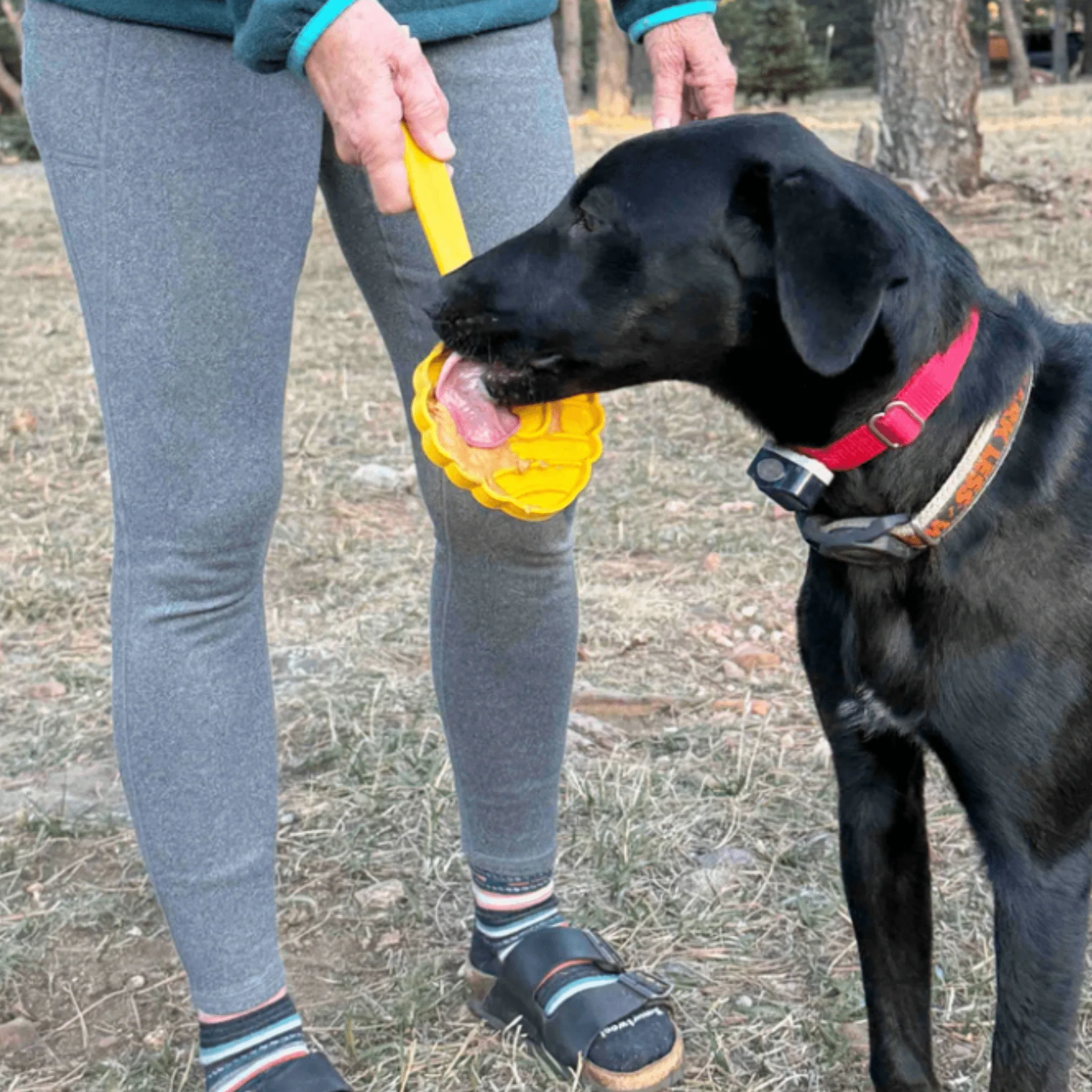 Lick Sticks | Interactive Dog Training Toy - Image 11