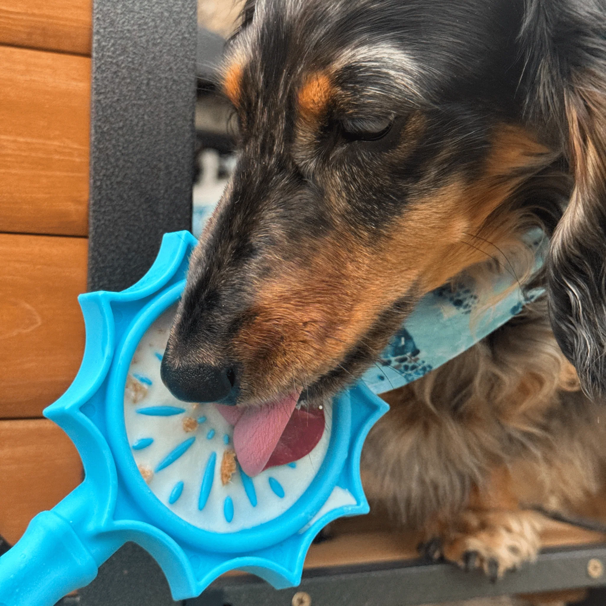 Lick Sticks | Interactive Dog Training Toy - Image 15