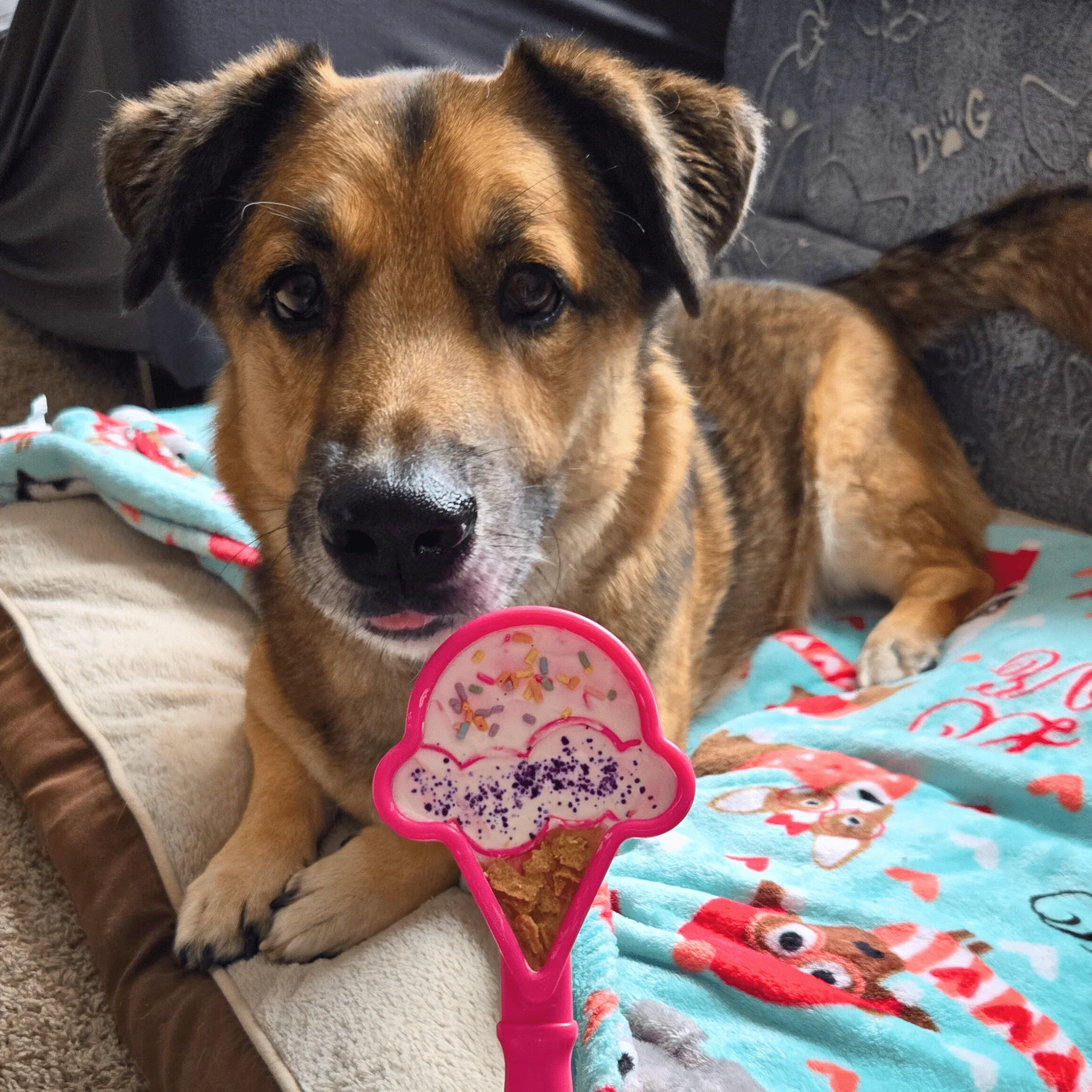 Lick Sticks | Interactive Dog Training Toy - Image 6