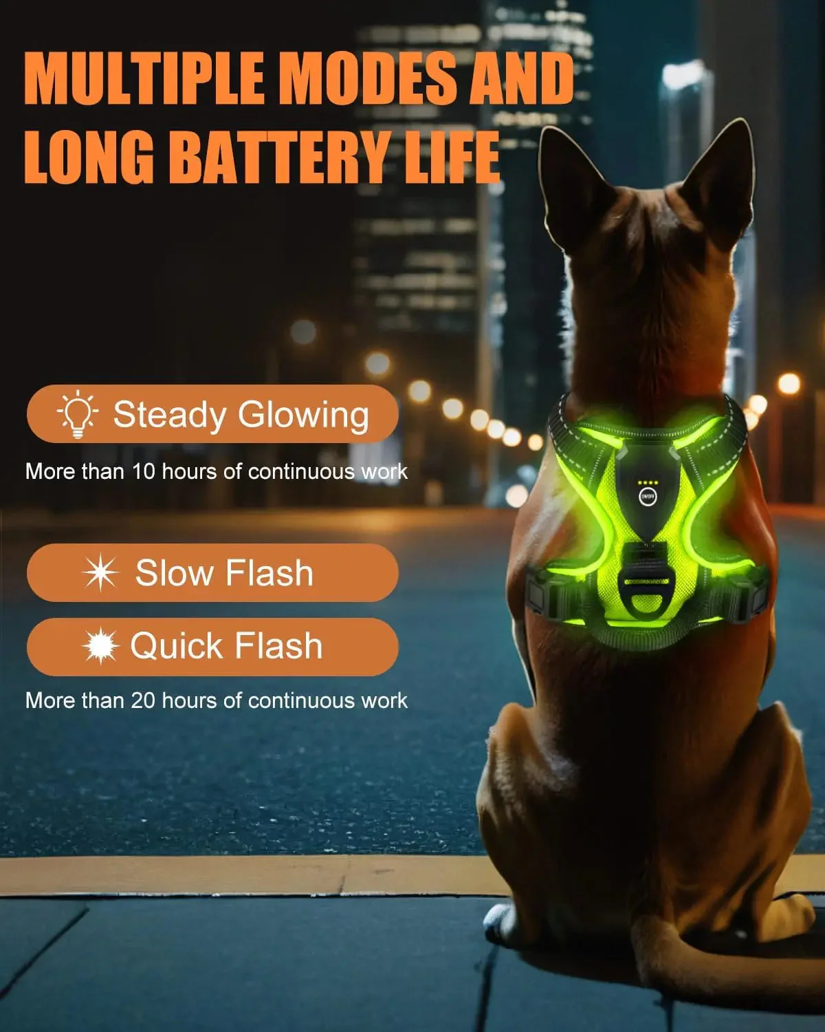 Light-Up LED Dog Harness – Rechargeable No-Pull Vest for Night Walking - Image 2