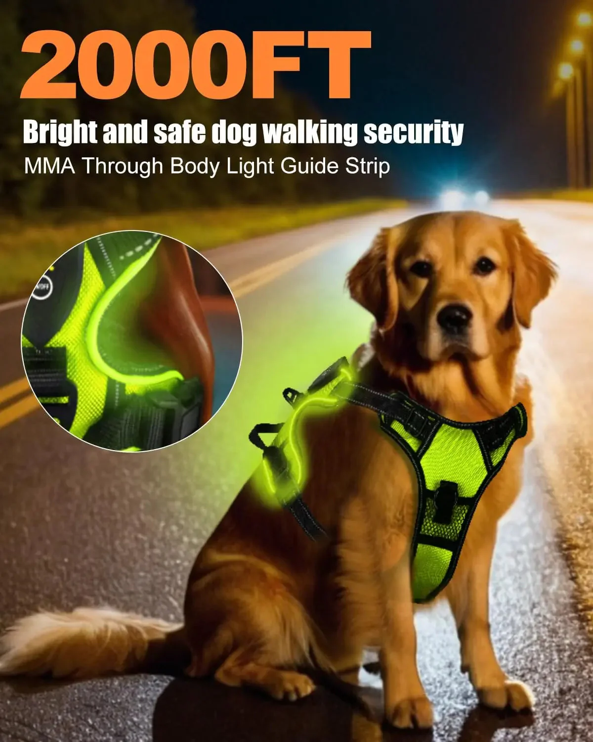 Light-Up LED Dog Harness – Rechargeable No-Pull Vest for Night Walking - Image 3