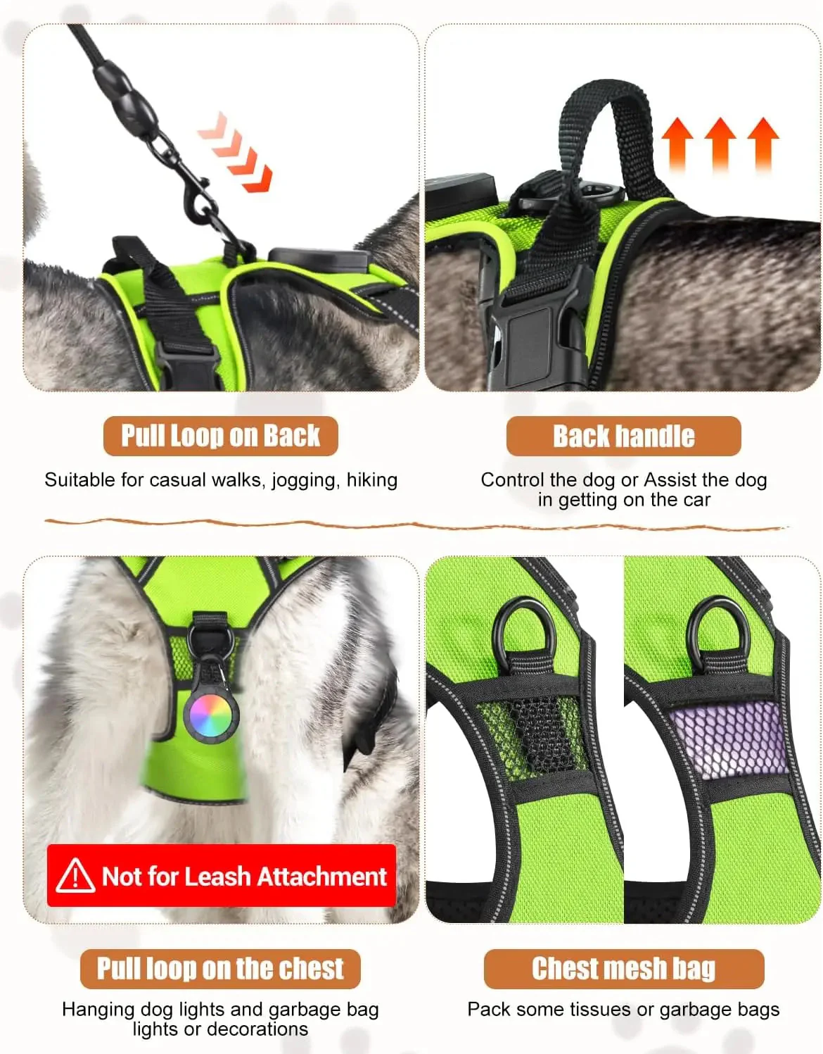 Light-Up LED Dog Harness – Rechargeable No-Pull Vest for Night Walking - Image 4