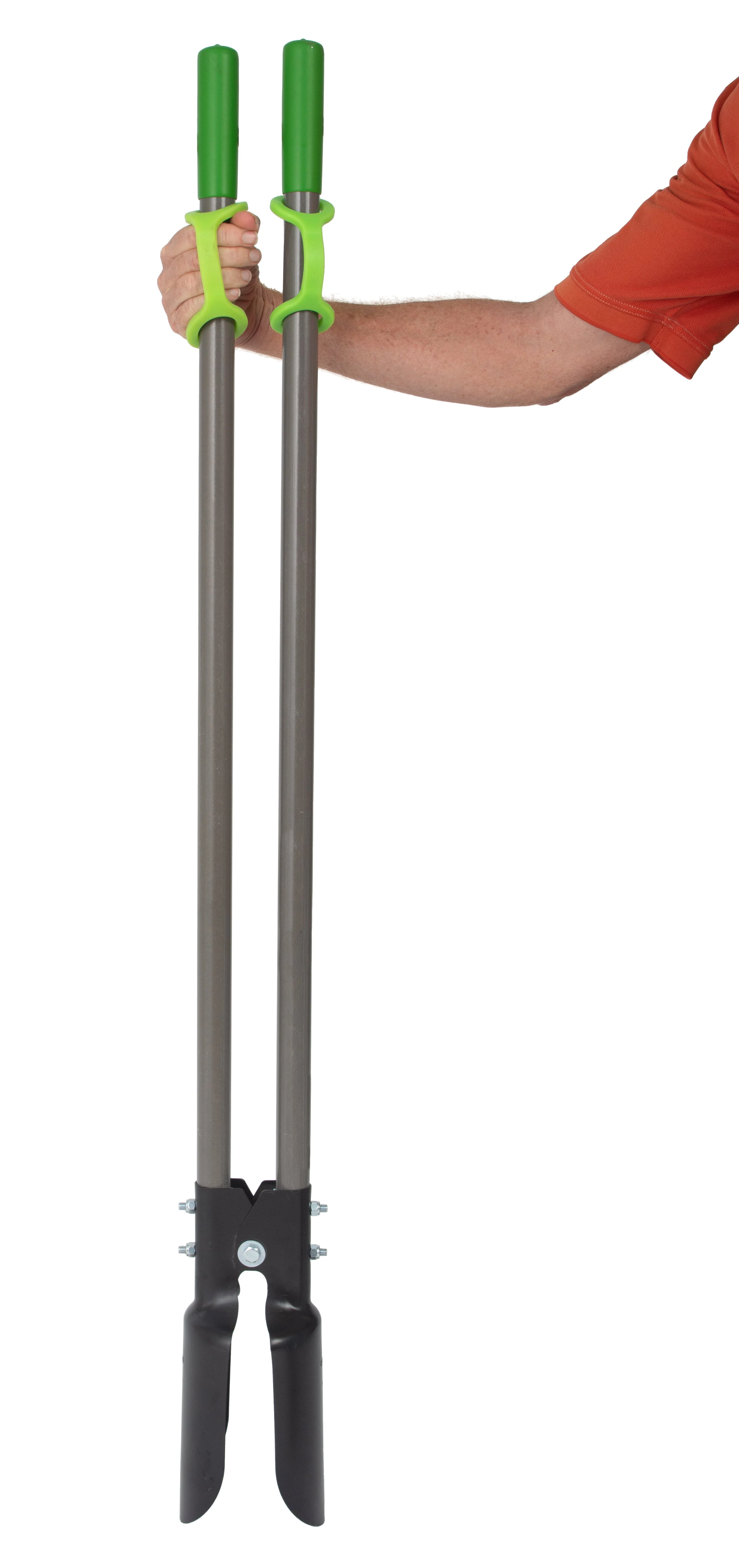 Lime (extra-large with extra-large holes) - Image 3