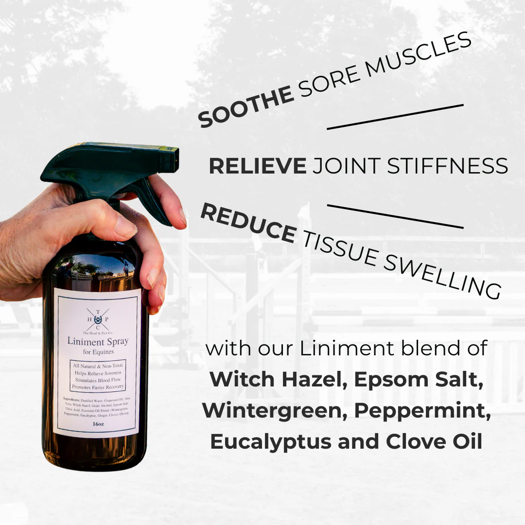 Liniment Spray for Horses - 16oz - Image 3