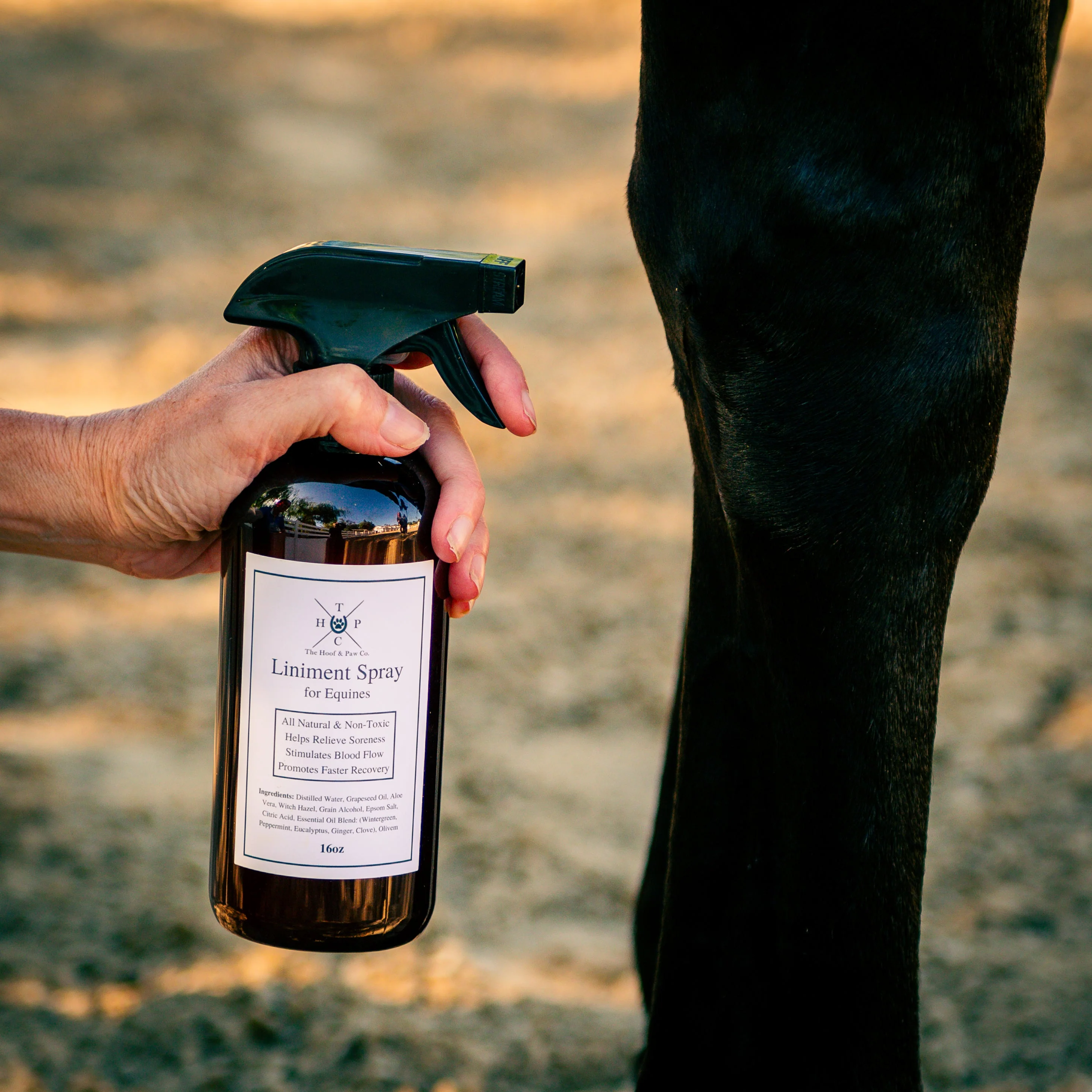 Liniment Spray for Horses - 16oz - Image 4