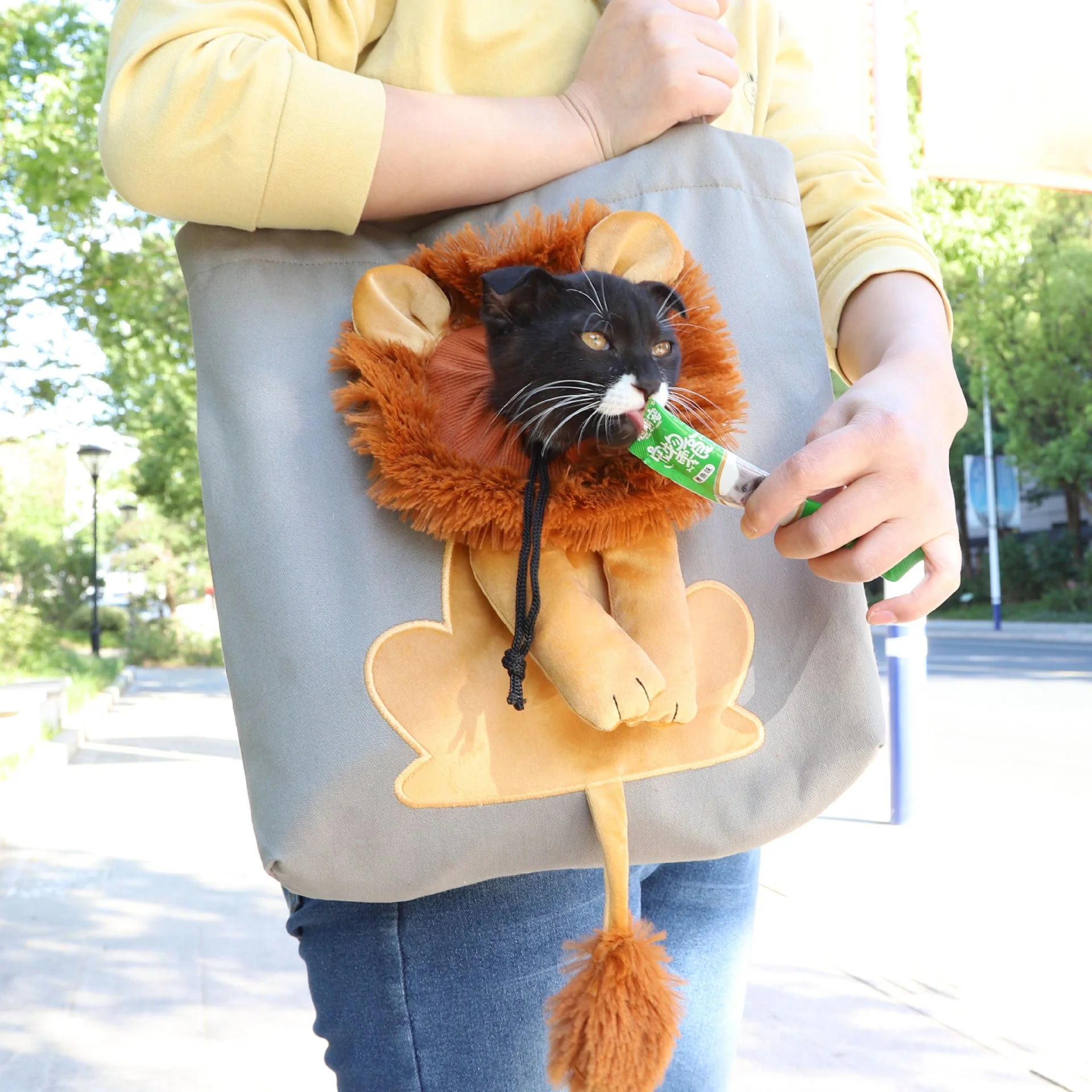 Lion Design Soft Pet Carrier Handbag - Image 4