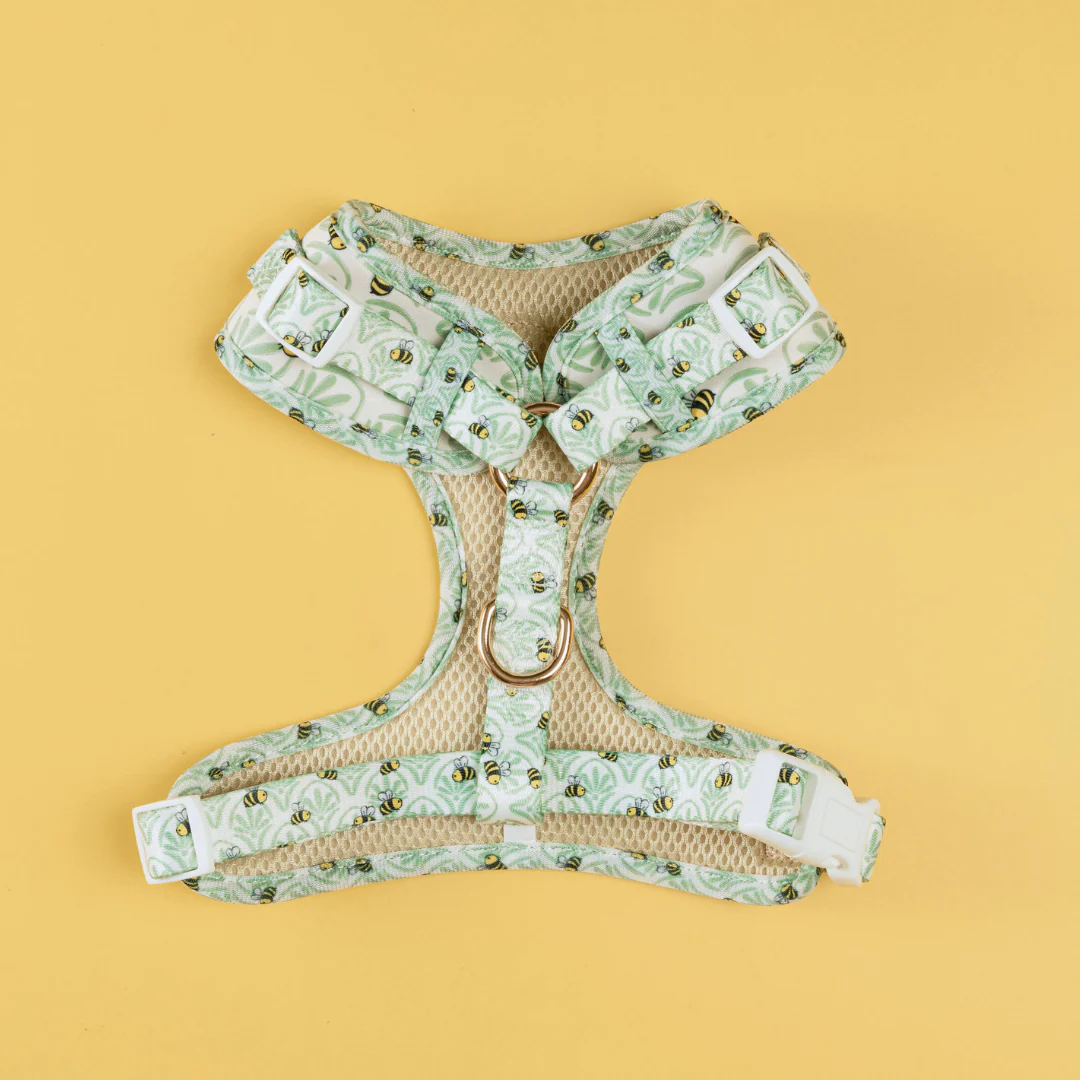 Little Honey Adjustable Harness - Image 2