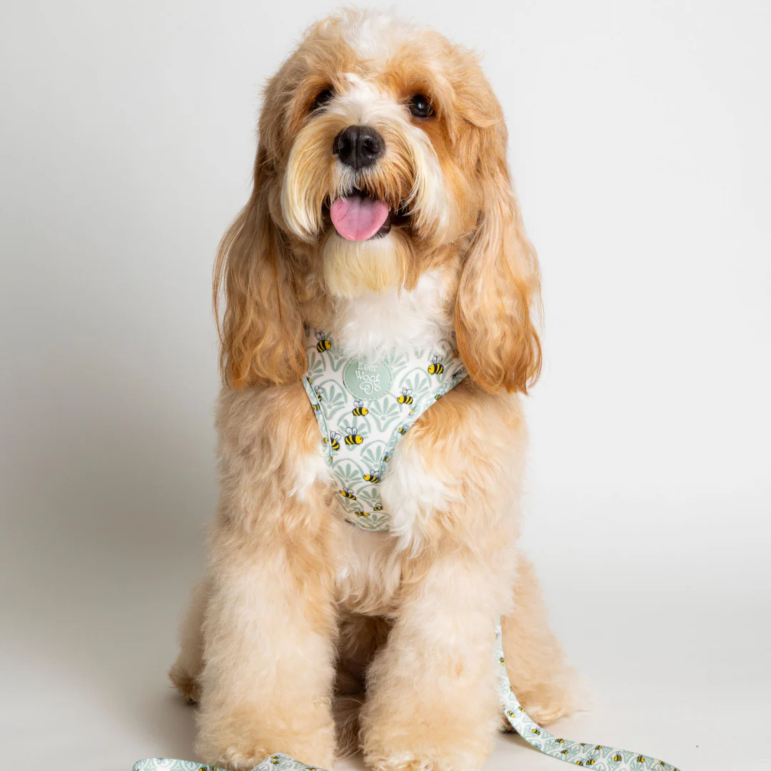 Little Honey Adjustable Harness - Image 4