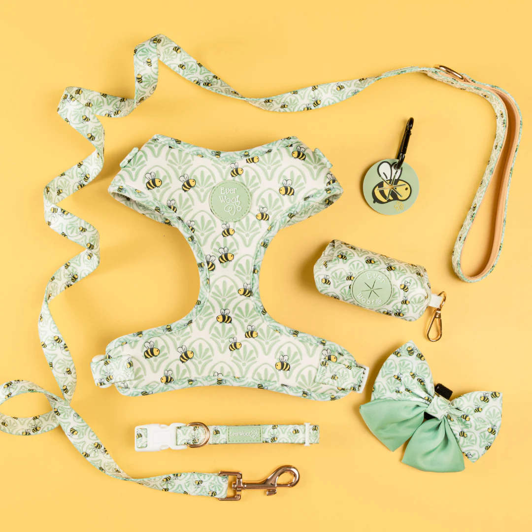 Little Honey Collar - Image 2