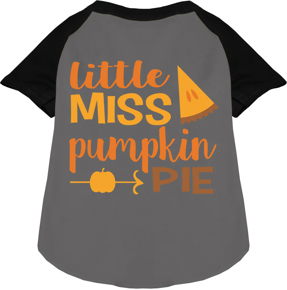 Little Miss Pumpkin Pie Pet Raglan Shirt - Image 3