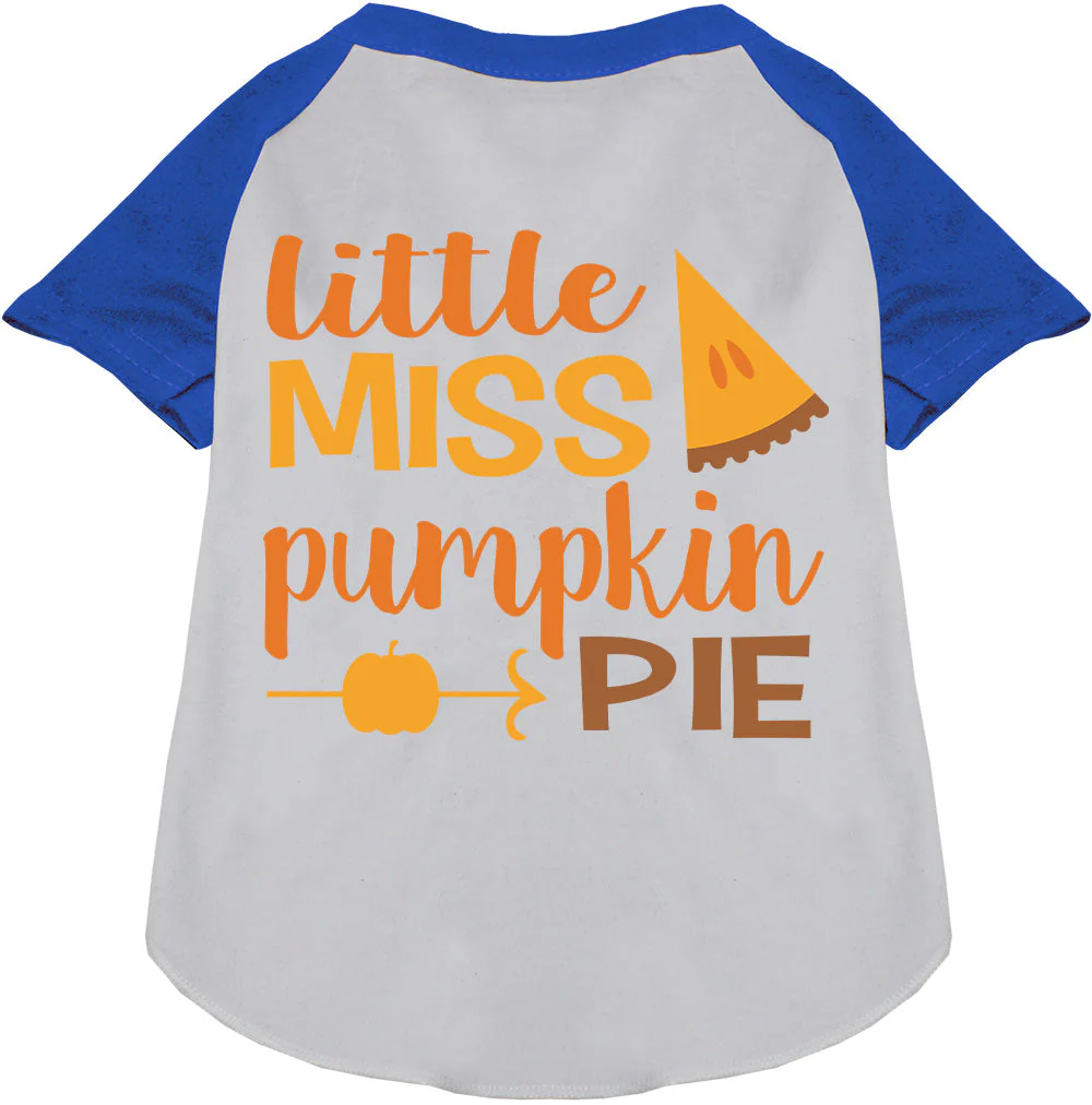 Little Miss Pumpkin Pie Pet Raglan Shirt - Image 4