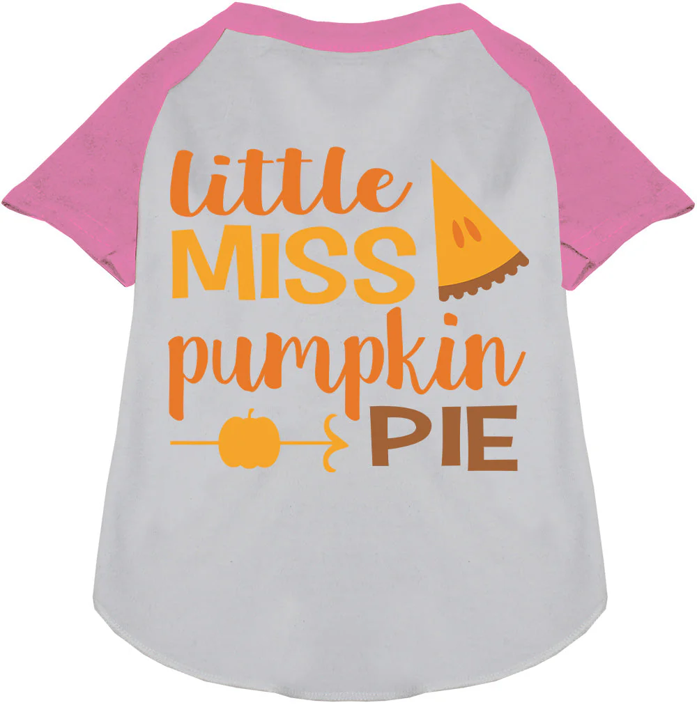 Little Miss Pumpkin Pie Pet Raglan Shirt - Image 5