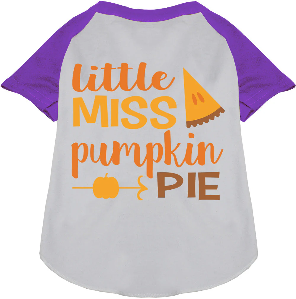 Little Miss Pumpkin Pie Pet Raglan Shirt - Image 6
