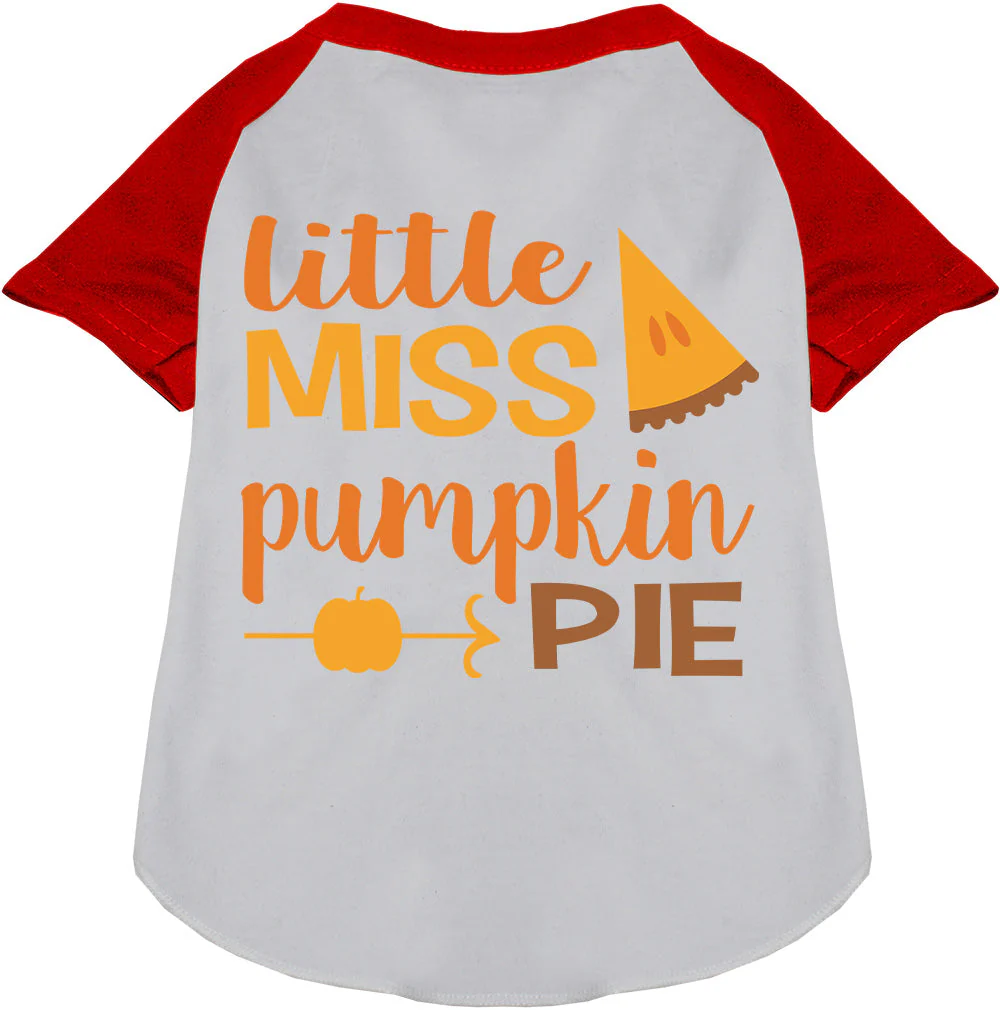 Little Miss Pumpkin Pie Pet Raglan Shirt - Image 7