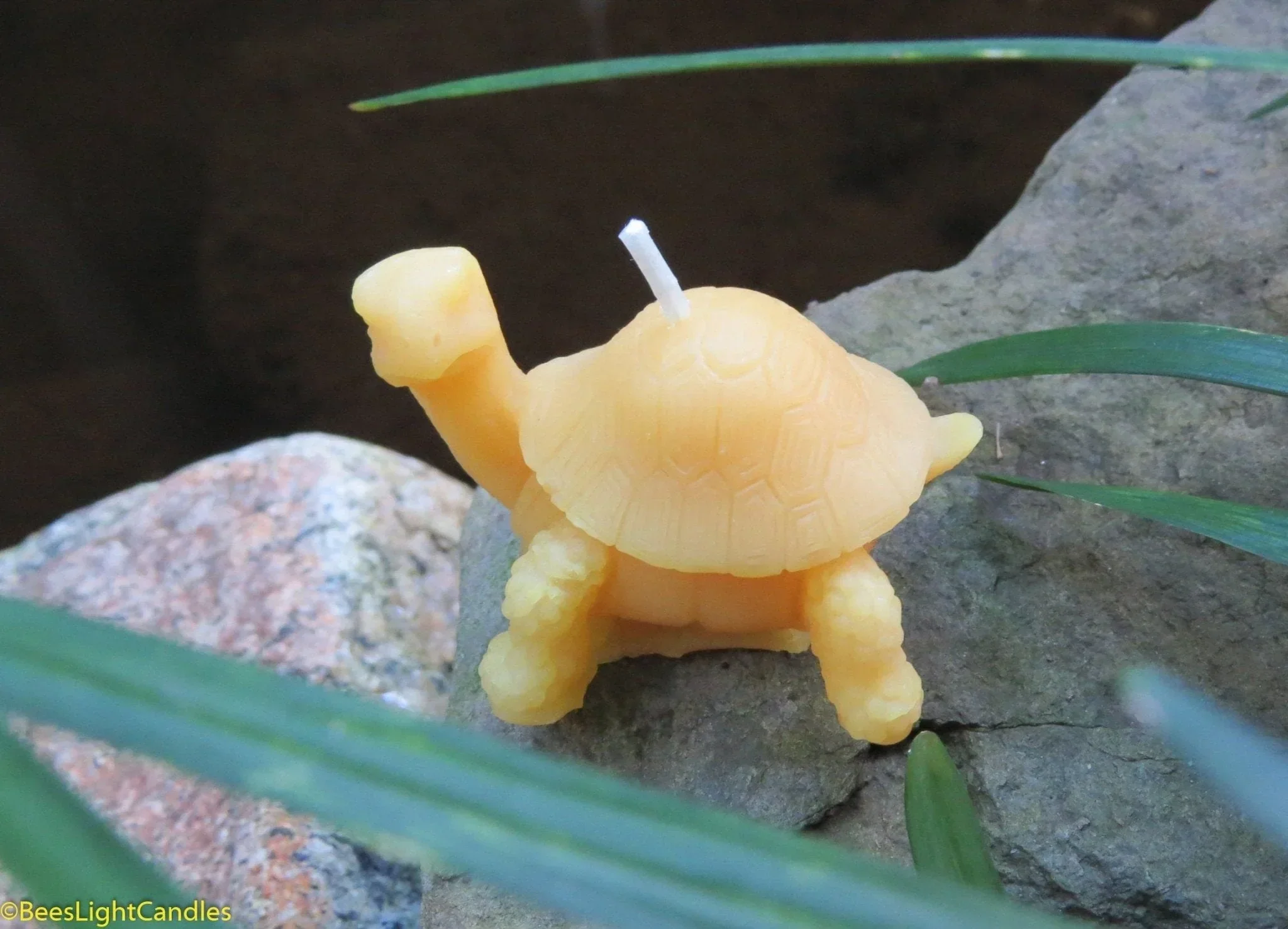 Little Turtle Beeswax Candle - Image 2