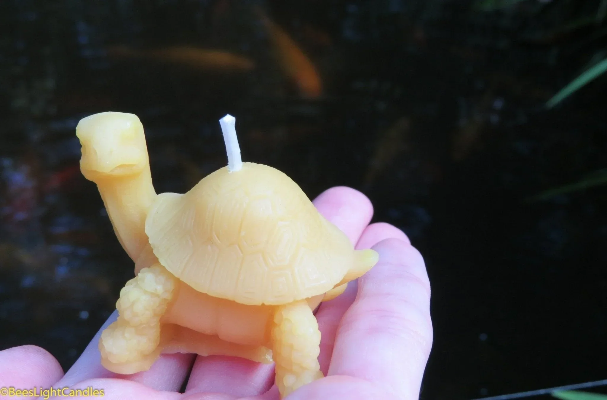 Little Turtle Beeswax Candle - Image 3