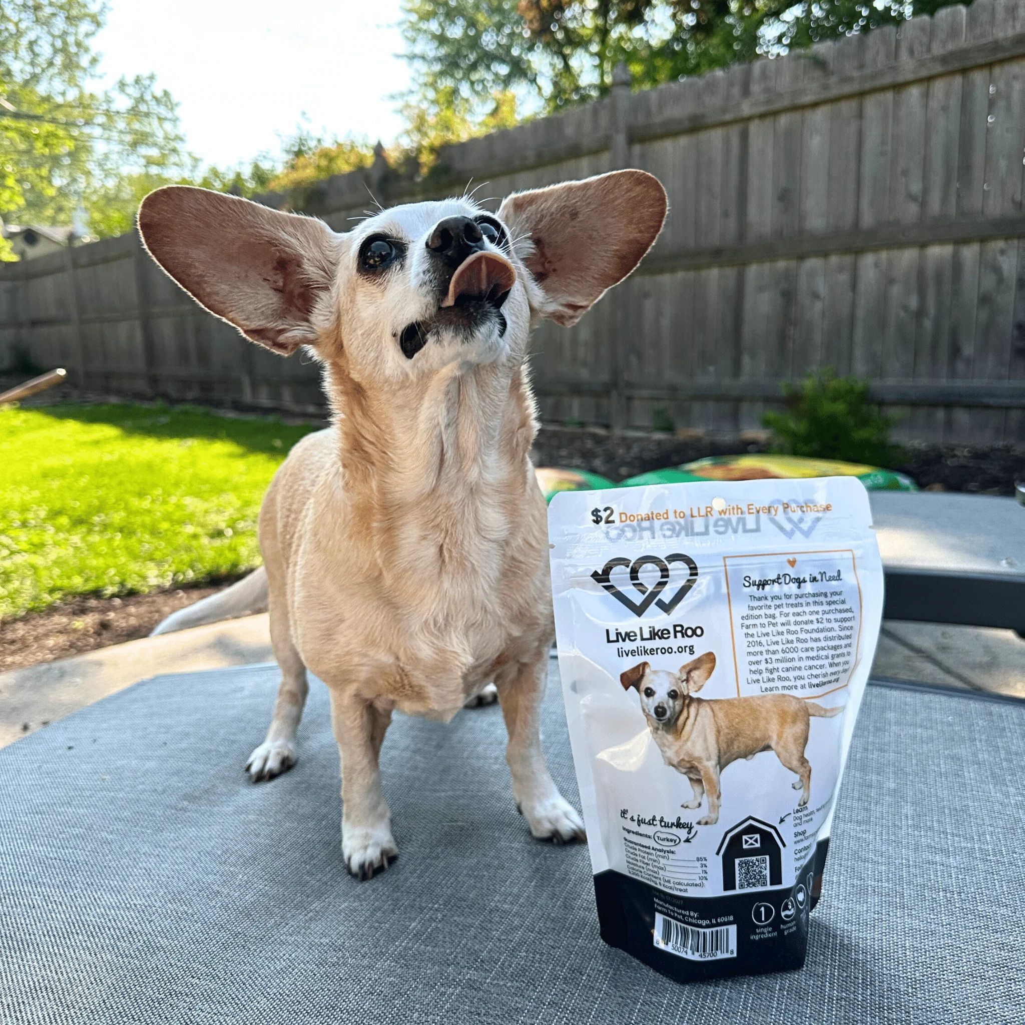Live Like Roo Turkey Chips for Dogs | Dog Treats That Give Back - Image 10