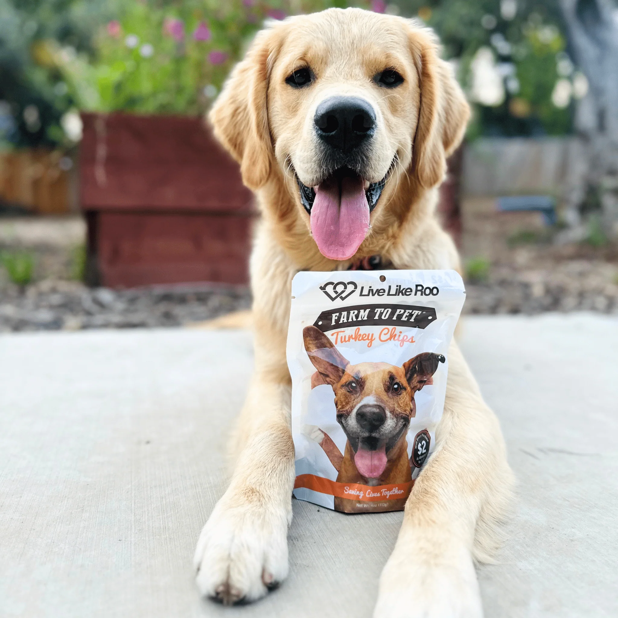 Live Like Roo Turkey Chips for Dogs | Dog Treats That Give Back - Image 11