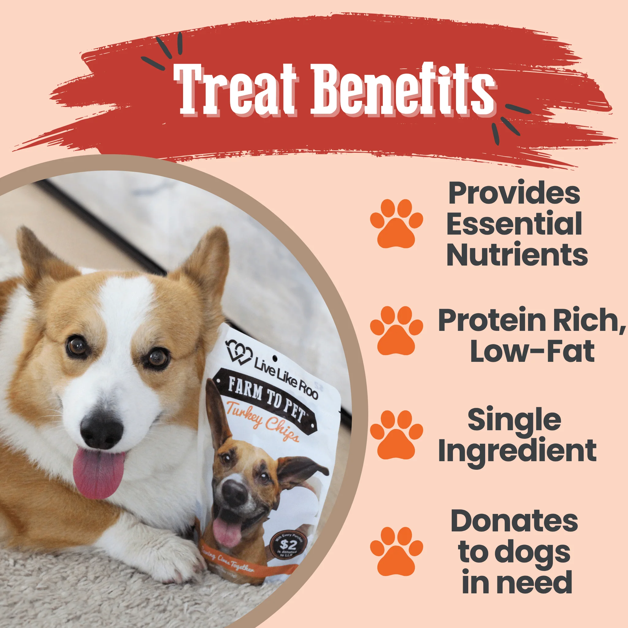 Live Like Roo Turkey Chips for Dogs | Dog Treats That Give Back - Image 13