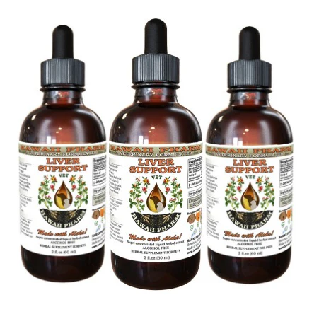 LIVER HEALTH/ Liver Support Remedy - Image 4