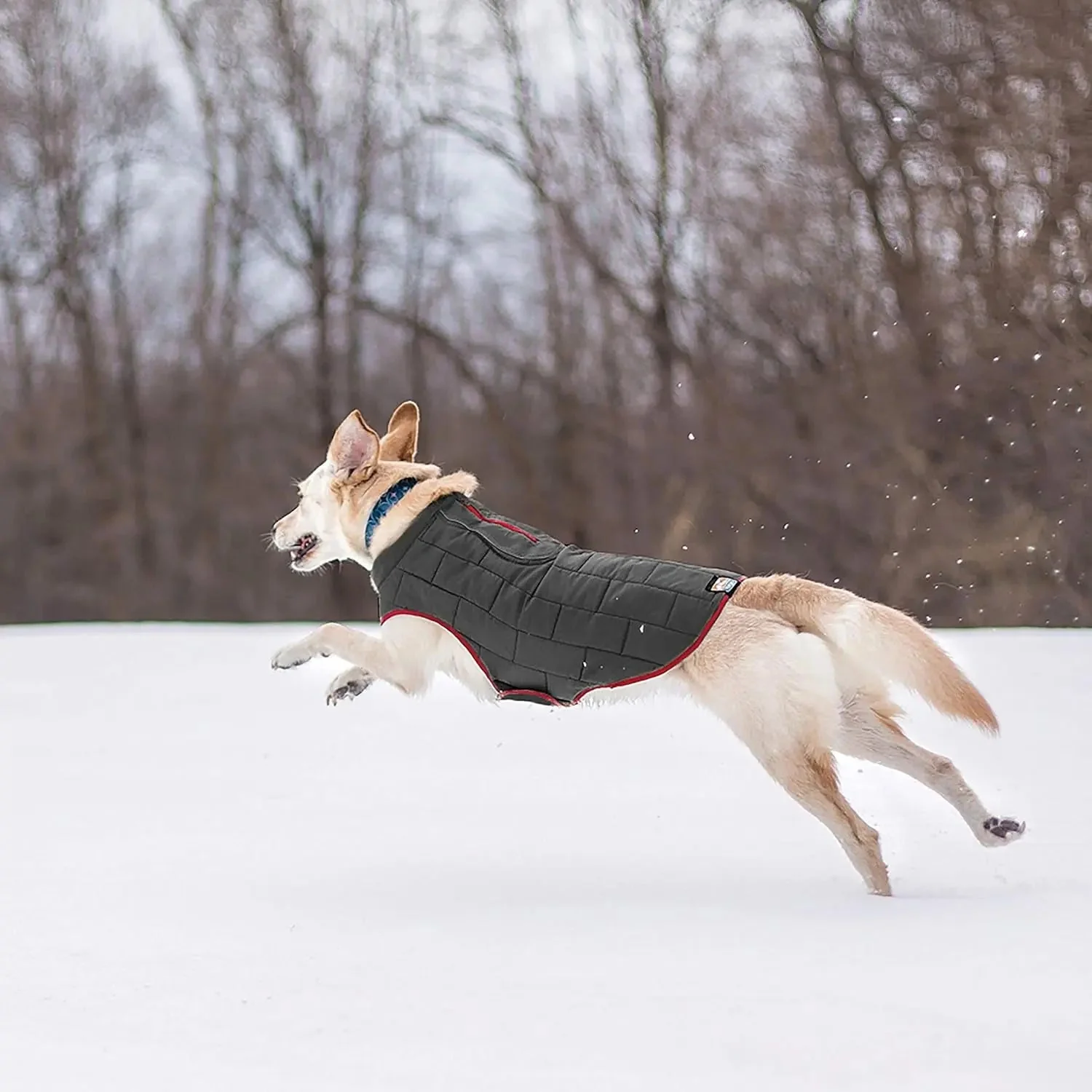 Loft Dog Jacket - Reversible Cozy Coat for Outdoor Adventures - Water Resistant - Athletic Fit - Machine Washable Fabric - Reflective Dog Gear - Medium - Chili Red - Image 2