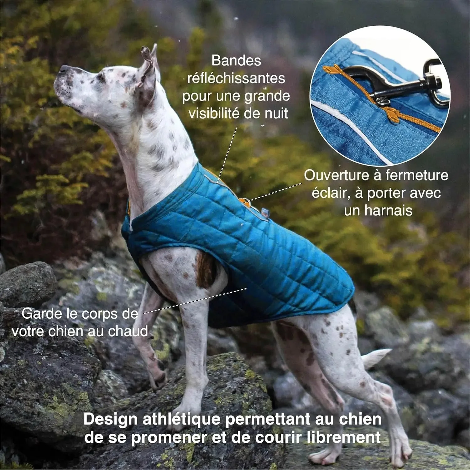 Loft Dog Jacket - Reversible Cozy Coat for Outdoor Adventures - Water Resistant - Athletic Fit - Machine Washable Fabric - Reflective Dog Gear - Medium - Chili Red - Image 3