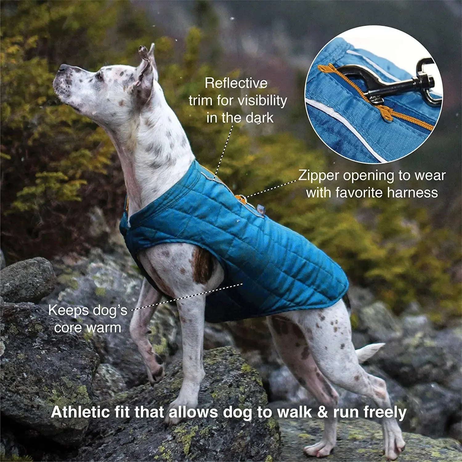 Loft Jacket, Reversible Dog Coat, Dog Coat for Cold Weather, Water-Resistant Dog Jacket with Reflective Trim, Black/Yellow, Medium - Image 2