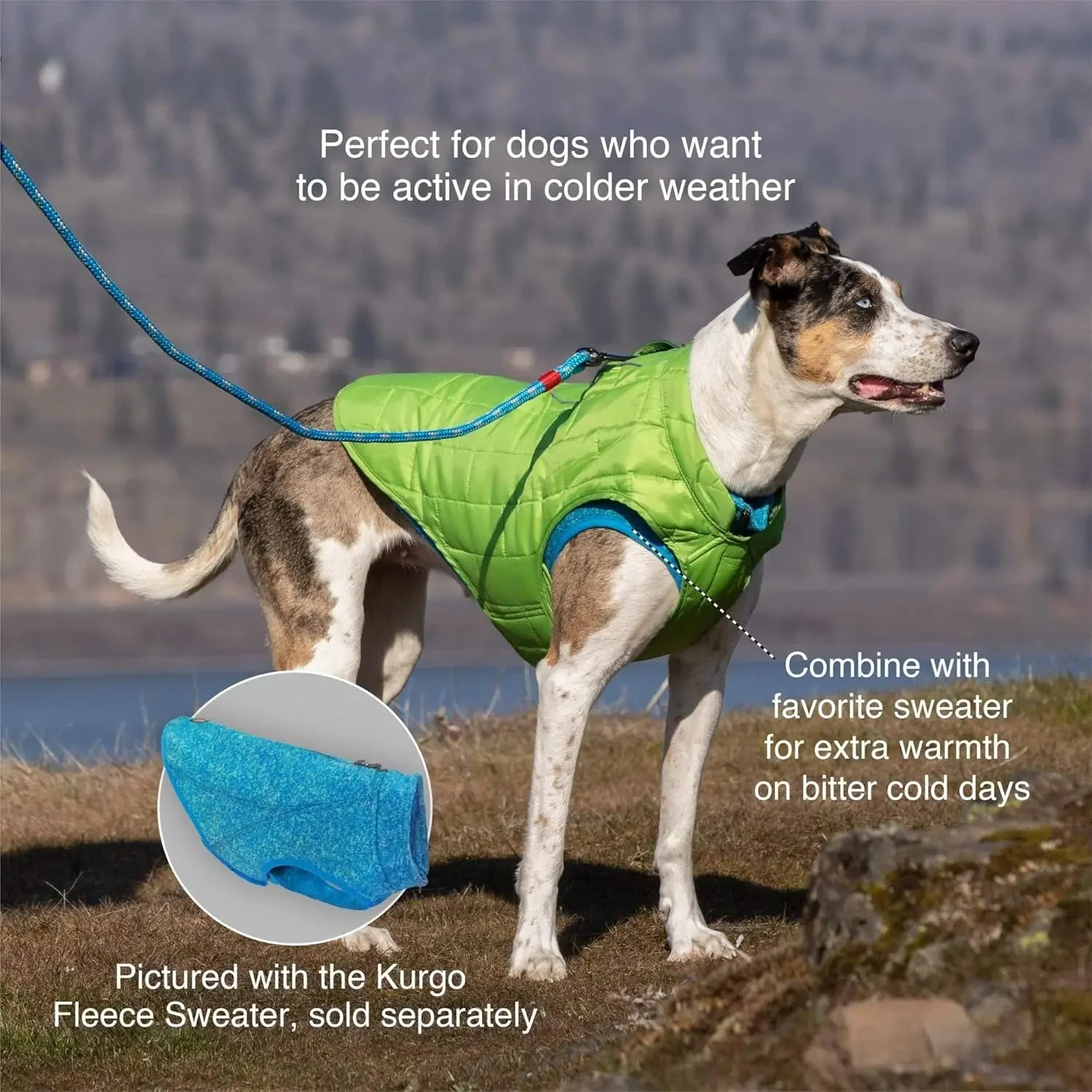Loft Jacket, Reversible Dog Coat, Dog Coat for Cold Weather, Water-Resistant Dog Jacket with Reflective Trim, Black/Yellow, Medium - Image 4