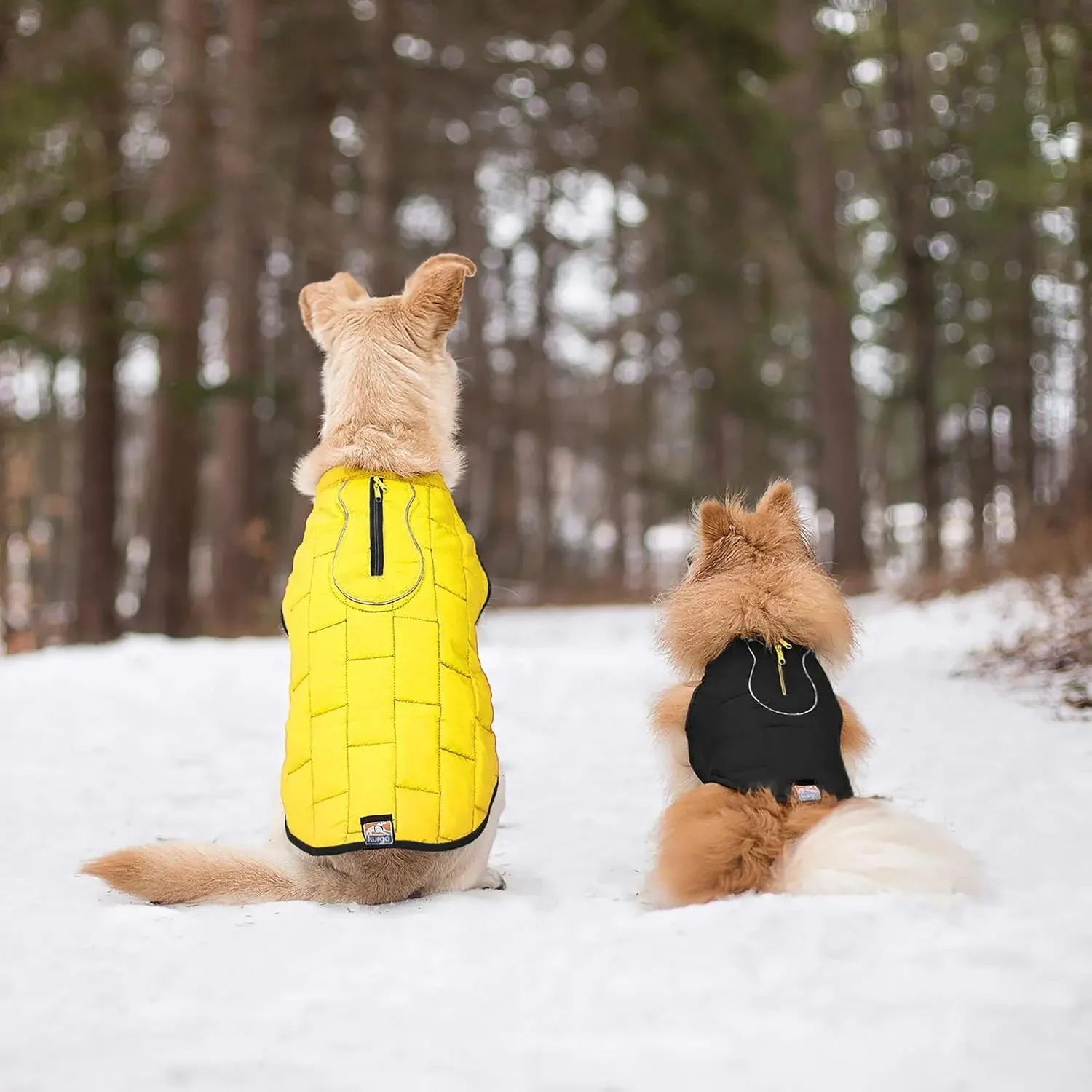 Loft Jacket, Reversible Dog Coat, Dog Coat for Cold Weather, Water-Resistant Dog Jacket with Reflective Trim, Black/Yellow, Medium - Image 5