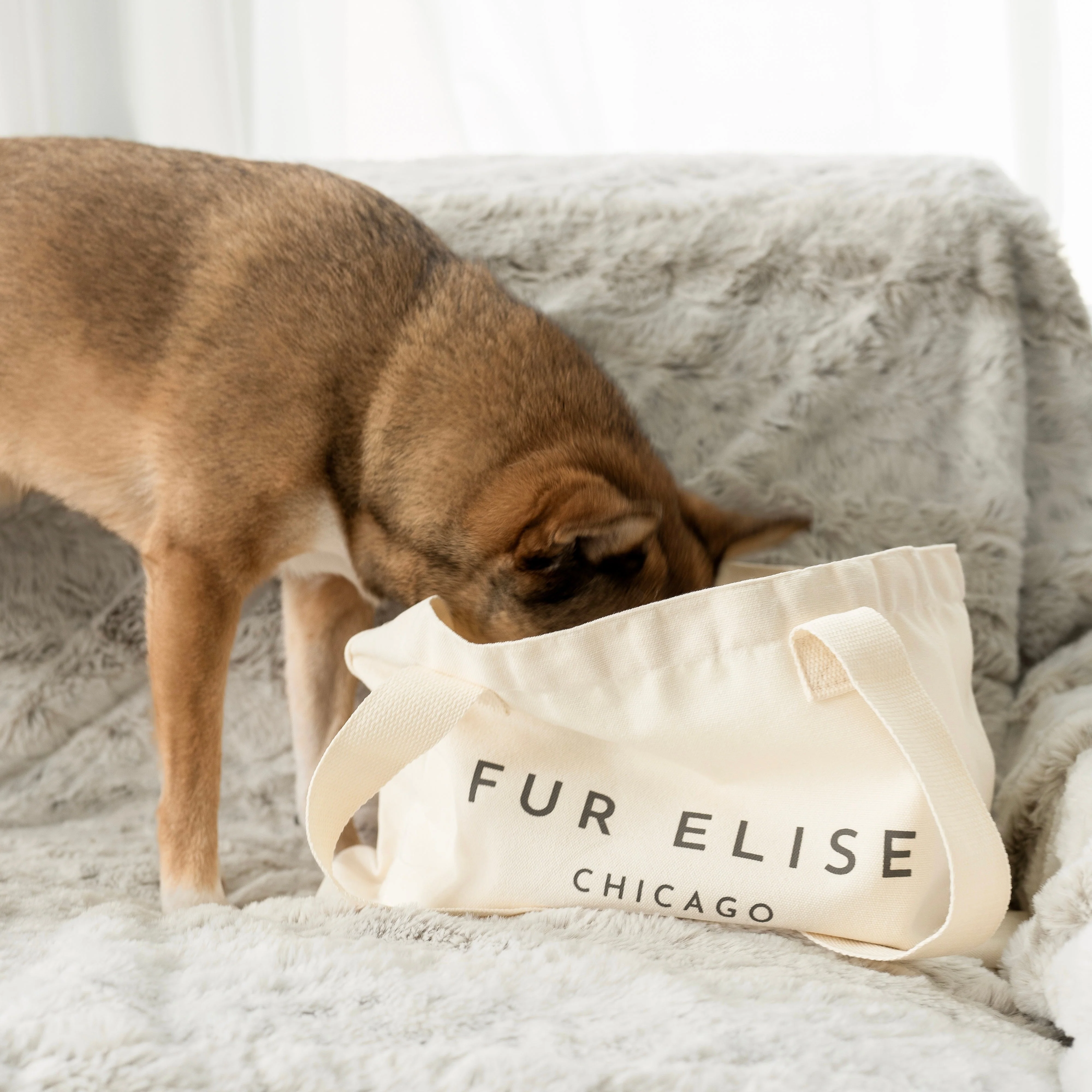 Logo Canvas Tote Bag - Image 3