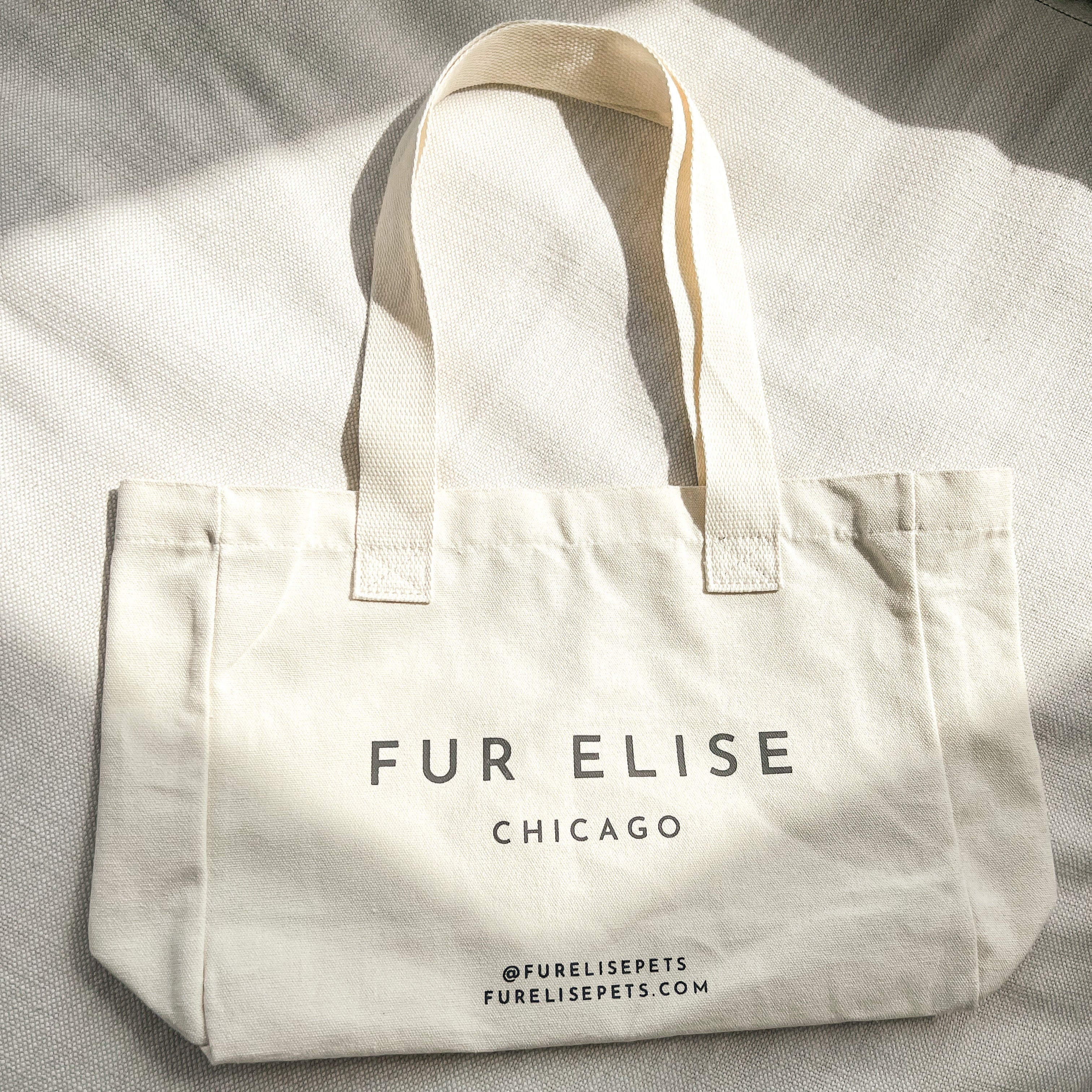 Logo Canvas Tote Bag - Image 4