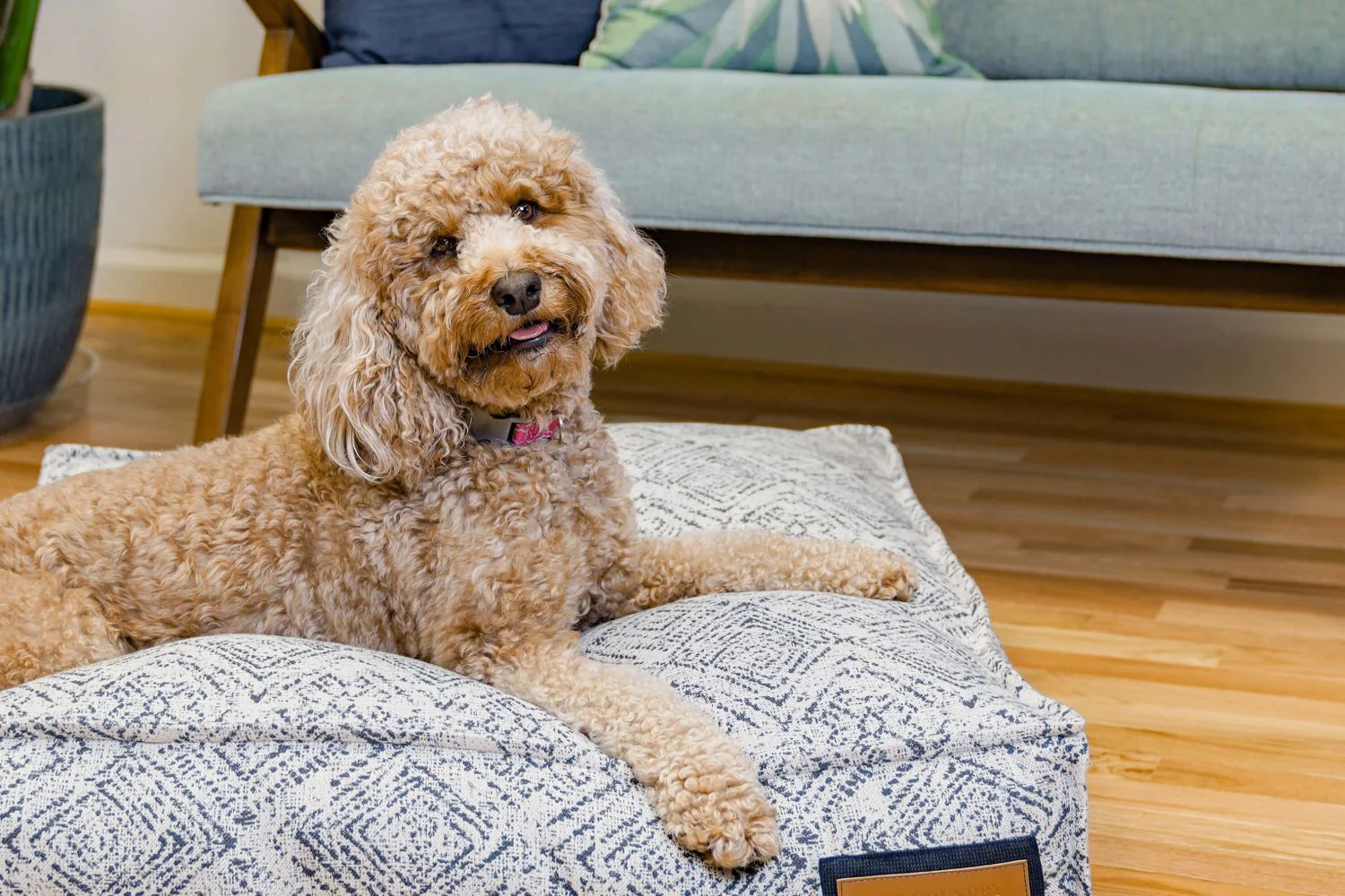 Lounger Pet Bed in Sapphire Spaniel - Image 6