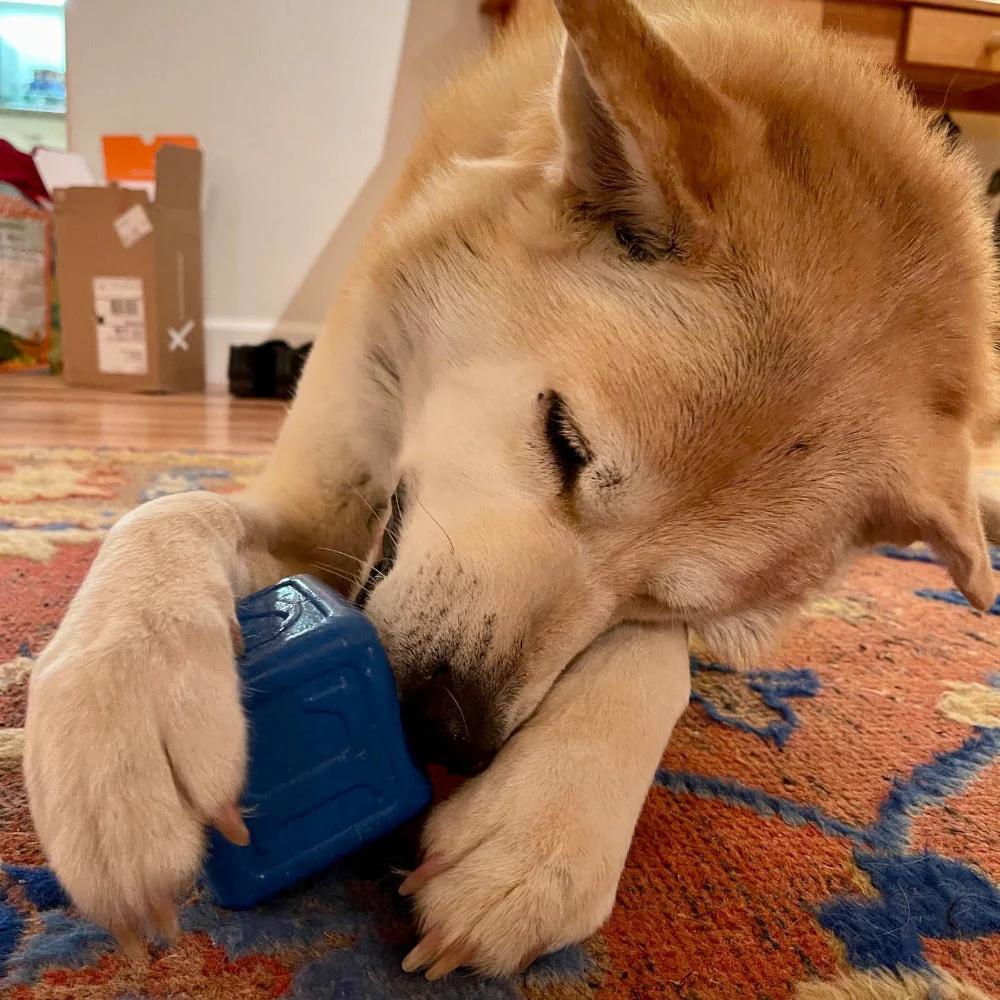 Love Cube eDispenser - Durable Rubber Chew Toy & Treat Dispenser | USA Made - Image 8