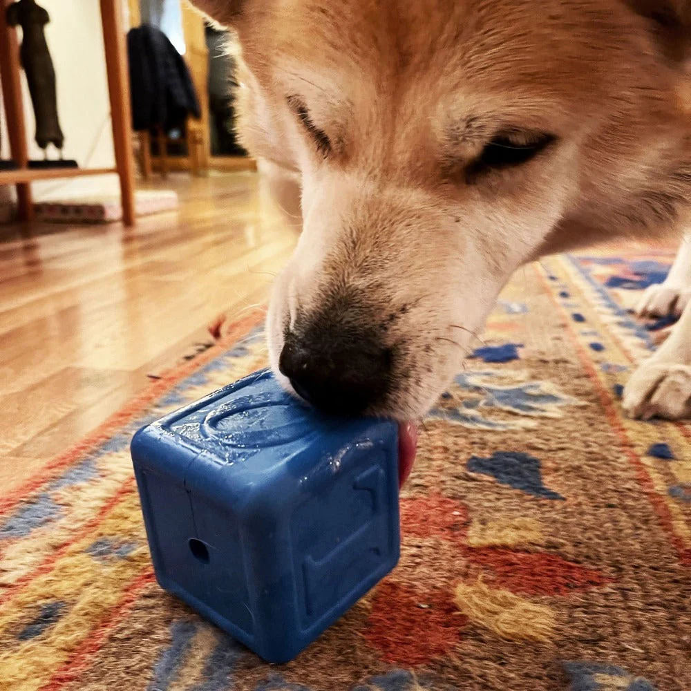 Love Cube eDispenser - Durable Rubber Chew Toy & Treat Dispenser | USA Made - Image 9