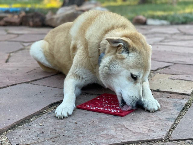 Love eMat - Enrichment Lick Mat for Dogs and Cats| Heart Design | SodaPup - Image 10