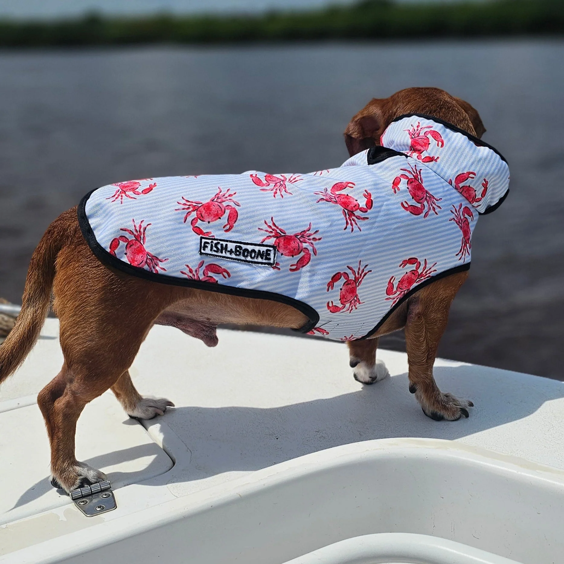 Lowcountry Proper Dog Coat - Image 2