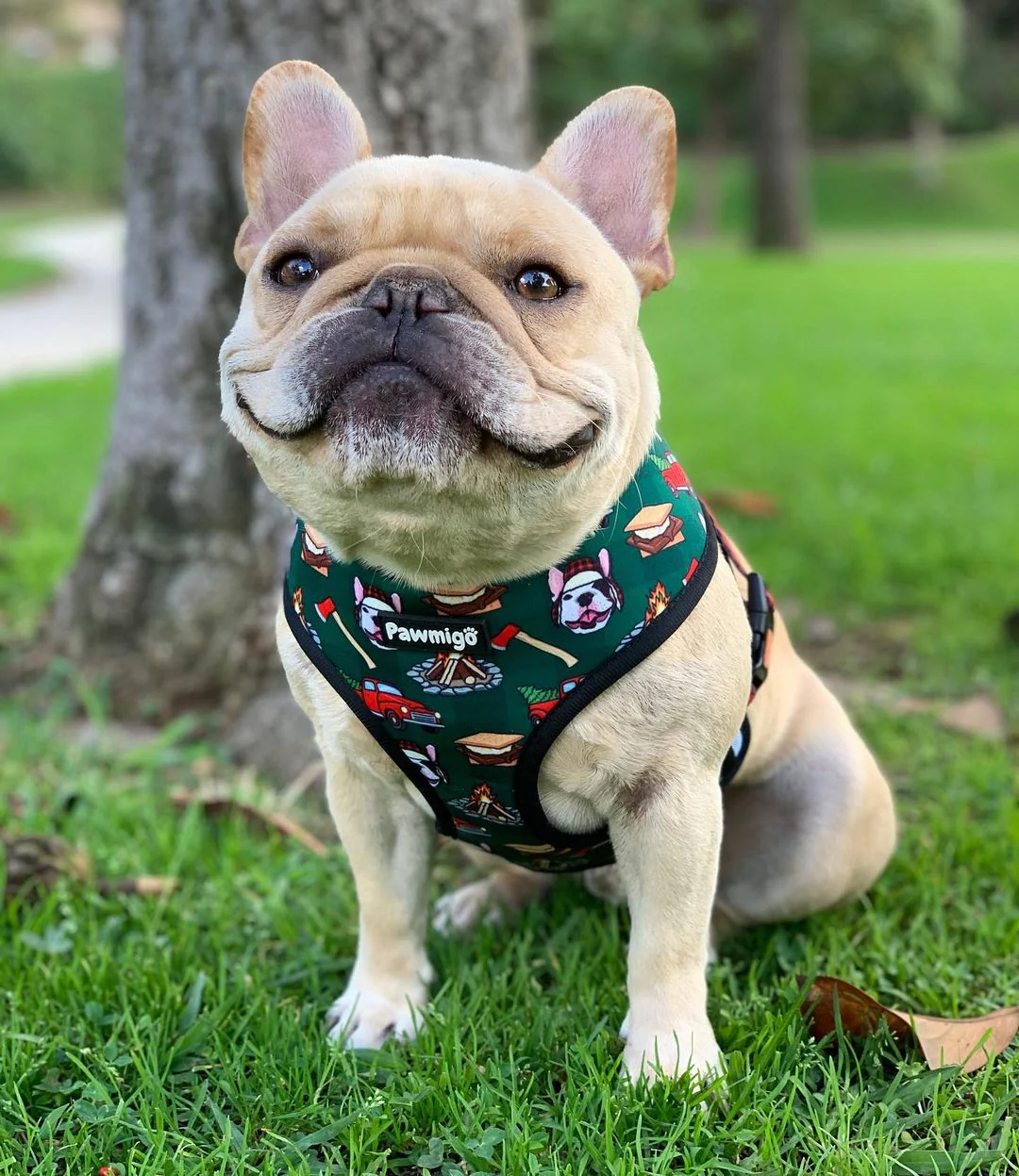 Lumbersnack Reversible Harness - Image 4