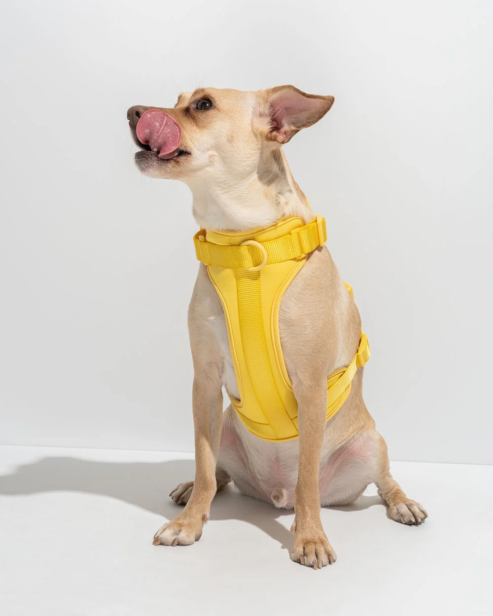 Luxe Harness - Image 6