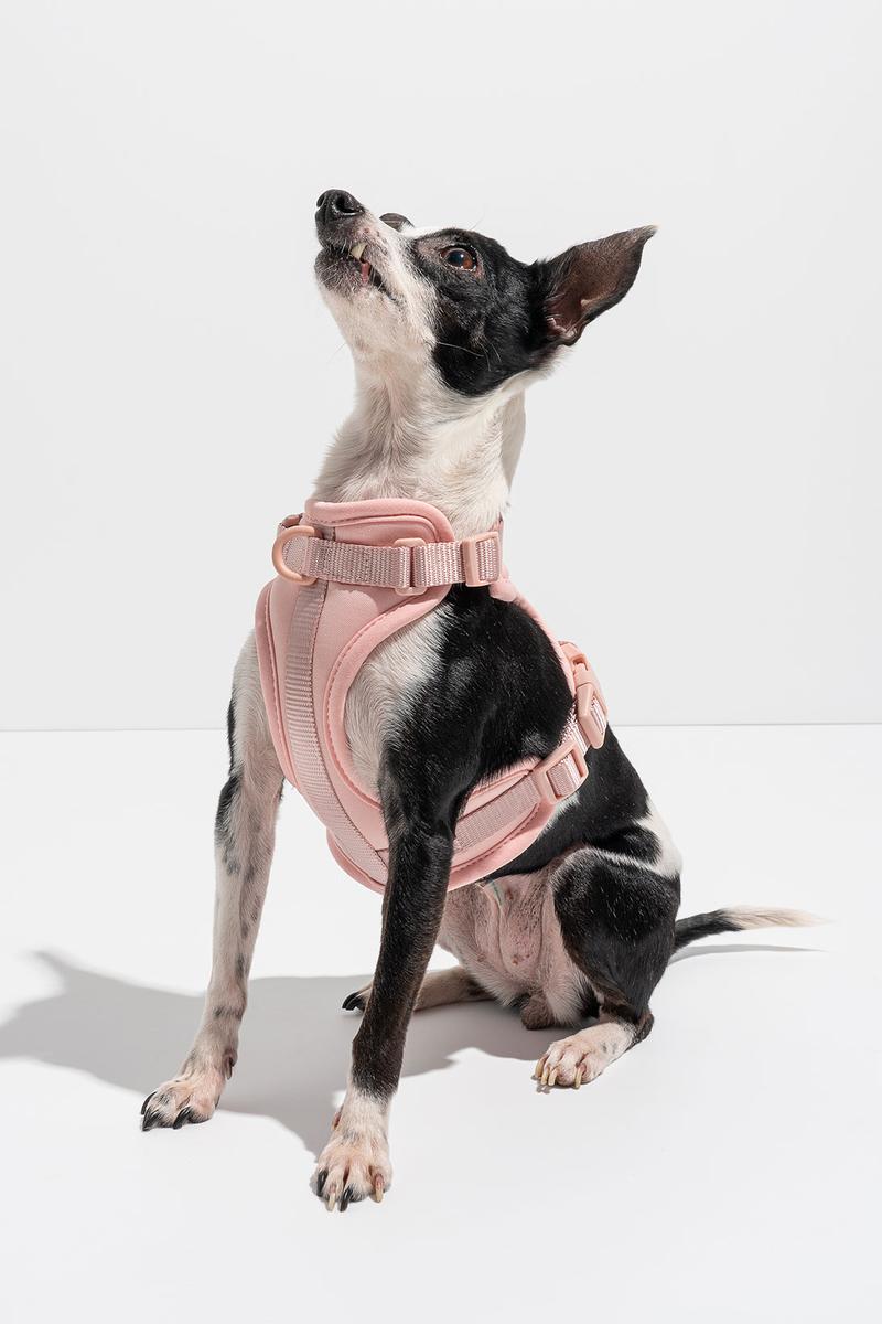 Luxe Harness - Hibiscus - Image 4