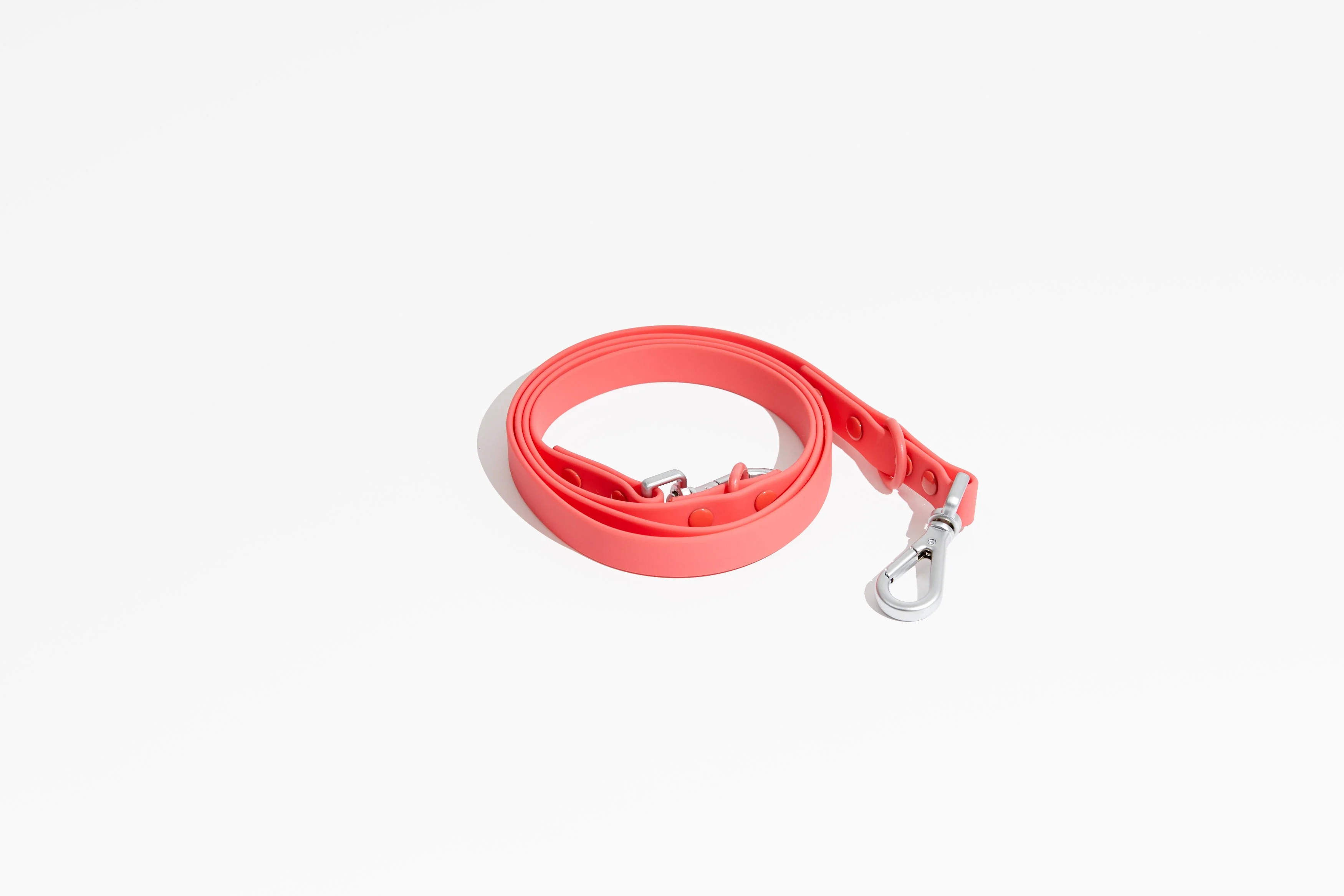 Luxe Leash - Poppy - Image 2