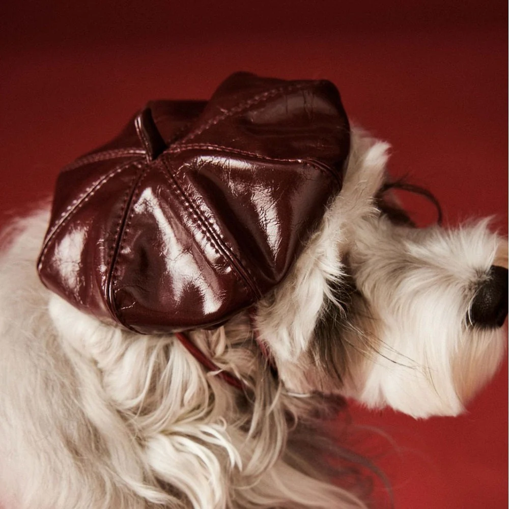 Luxe Leather Pet Beret Dress With Hat - Image 10